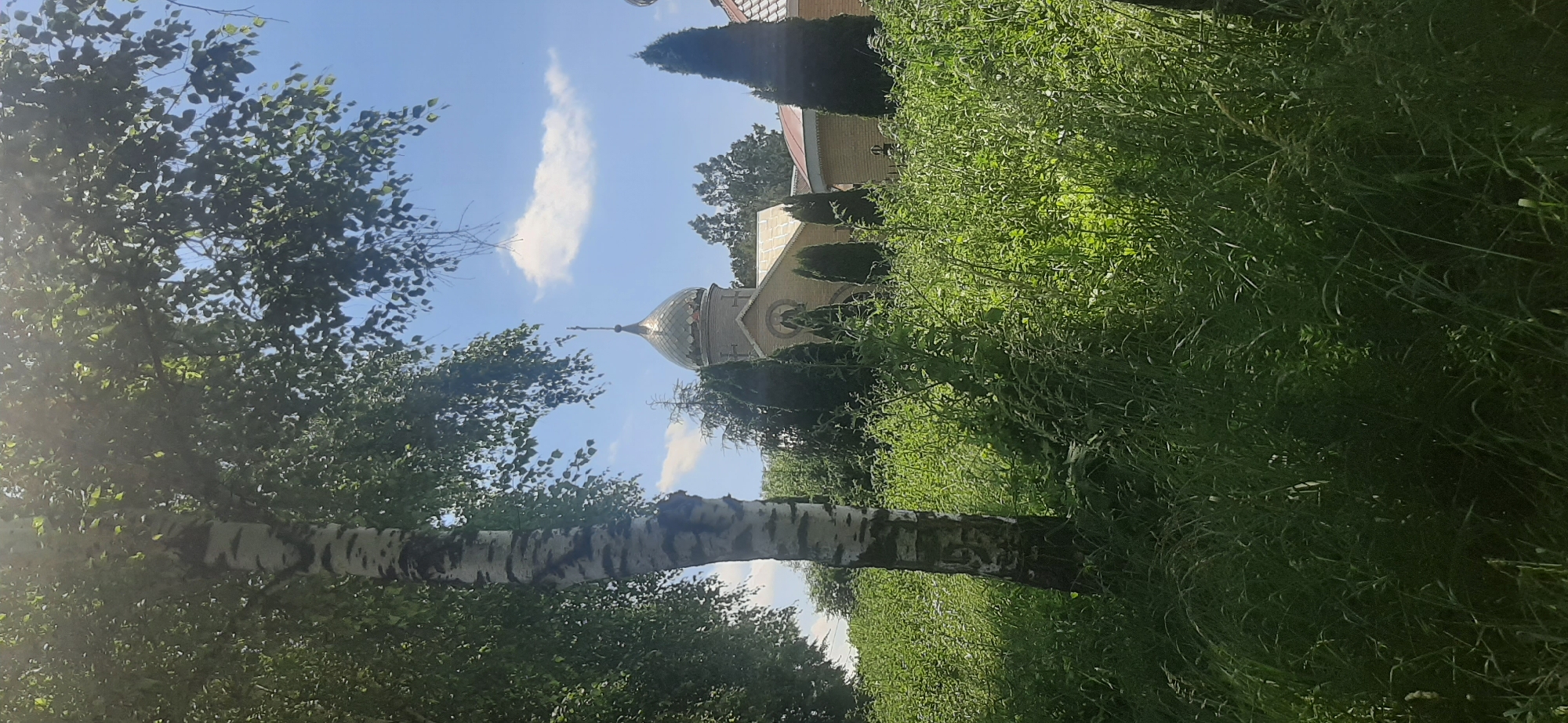 This media file depicts a serene outdoor scene with a prominent Orthodox church as a central object. The church features a distinctive golden dome and a light-colored facade, suggesting traditional Russian architecture. It is partially obscured by lush green foliage and tall, dark green cypress-like trees, creating a sense of being nestled within nature.
In the foreground, a striking birch tree with its characteristic white and black bark stands out, its leaves rustling gently against a clear blue sky dotted with a few wispy clouds. The presence of abundant greenery, including tall grasses and trees, indicates a natural, possibly park-like or rural setting. The lighting suggests it is daytime, with sunlight casting a gentle glow on the scene and creating lens flare effects, particularly on the left side of the image.
The image is oriented vertically, giving a dynamic perspective that draws the viewer's eye upwards towards the sky and the church dome. There are no people visible in the frame, emphasizing the tranquility and peacefulness of the location. The overall mood conveyed is one of calm and natural beauty, with the church adding a spiritual or historical element to the landscape. The location context of Yessentukskaya, Russia, reinforces the architectural style and the natural environment depicted. No visible text is present in the image.