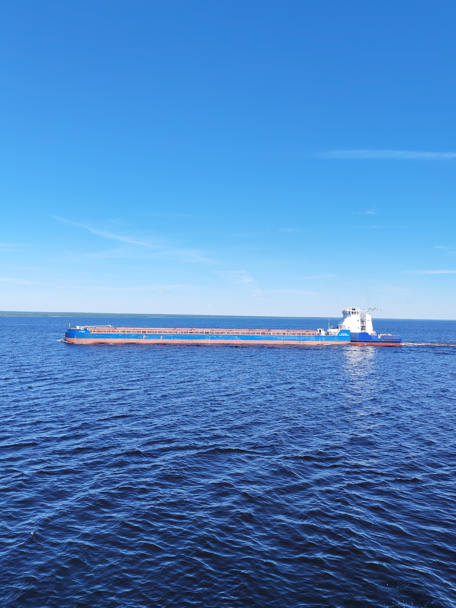 The image displays a long cargo vessel traversing a wide body of water under a clear blue sky near Мякса, Russia. The vessel, named "МЯКСА" as clearly visible in white Cyrillic letters on its blue bow, is oriented horizontally, moving from left to right across the frame. Its hull is predominantly blue above the waterline, with a reddish-brown section at and below the waterline. A distinct white superstructure housing the bridge and crew accommodations is situated at the stern. The vessel's deck appears to be either empty or carrying low-profile cargo, with visible cargo hold covers or railings. A visible wake trails behind the stern, indicating forward motion. The expansive body of water is dark blue, covered with numerous small ripples. The sky above is a brilliant, unblemished blue, with only faint, wispy clouds present at the far horizons. A low-lying, dark green landmass, likely a treelined shore, stretches across the distant horizon, separating the water from the sky.