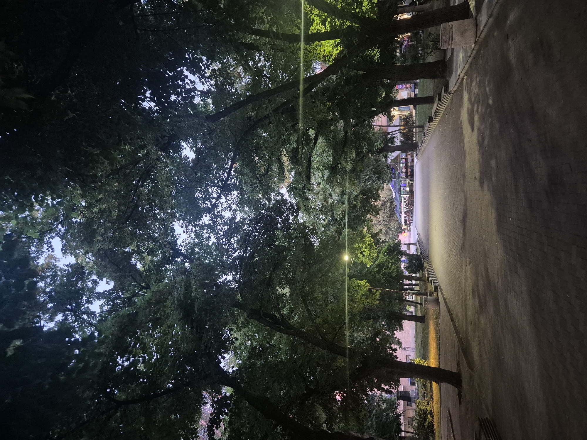 An eye-level, vertical shot captures a tree-lined pedestrian walkway bathed in the low light of dusk or early evening. The walkway, paved with rectangular bricks in a herringbone pattern, extends into the distance, curving slightly to the left. On either side of the walkway, mature trees with dense canopies cast long shadows, creating a dappled effect on the path. The sky peeks through the leaves, appearing a pale blue.
Streetlights are visible along the walkway, emitting a warm, yellow glow that illuminates sections of the path and highlights the foliage. To the left of the walkway, there is a lawn area with a few scattered trees. In the distance, along the left side of the path, several low-rise buildings and what appear to be outdoor seating areas for establishments like cafes or restaurants are visible, indicated by umbrellas and structures. To the right of the walkway, a concrete curb separates the path from a grassy area and more trees. Several trash receptacles are positioned along the curb. The overall atmosphere is serene and suggests a public park or a pedestrian zone within a city.