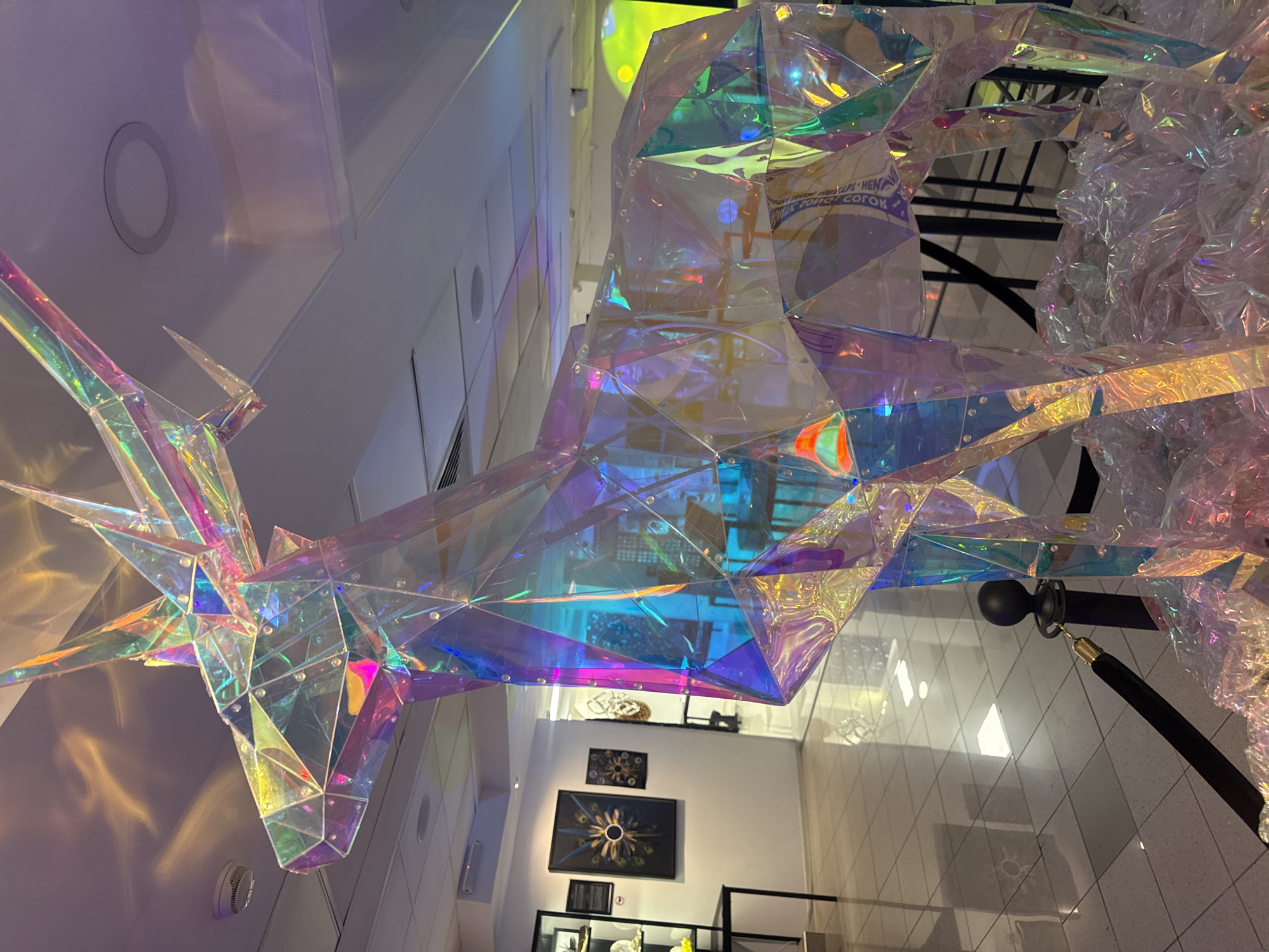 The image shows a close-up, angled shot of a large, translucent, iridescent art installation suspended from a ceiling. The installation is geometric in shape, composed of many faceted panels that refract light, creating a colorful and dazzling effect with hues of pink, purple, blue, green, and yellow. The material appears to be a type of iridescent plastic or film stretched over a frame. The installation has a crystalline or perhaps ice-like appearance, with sharp angles and projections. One section of the installation resembles a stylized head with antler-like protrusions, suggesting it might be an abstract representation of an animal, possibly a deer or a dragon.
The setting appears to be an indoor public space, likely a museum, gallery, or a large atrium. The ceiling is white and features recessed lighting fixtures. The walls are also light-colored and appear to be paneled or tiled. Below the installation, several framed artworks are visible on a wall, including one large dark-framed piece with a circular design featuring concentric rings and a central element, and another smaller framed artwork above it.
In the lower right portion of the image, a velvet rope barrier with a black post topped by a dark sphere is visible, indicating a controlled access area. The rope itself is black and attached to the post with a gold-colored clip.
The lighting is artificial and contributes significantly to the visual effect of the art installation, casting colorful reflections and shadows on the surrounding surfaces. There are some faint reflections visible on the smooth surfaces of the installation itself, suggesting the presence of other objects or lights in the environment.
There is some visible text on one of the faceted panels of the installation, appearing as a partial label or inscription with Cyrillic letters, though it is not clearly legible due to the angle and the reflective nature of the material. One visible fragment reads "ПУК...ЕН" followed by other characters.
The overall mood conveyed is one of wonder and perhaps a sense of magical enchantment, due to the vibrant colors and the ethereal quality of the illuminated sculpture. There are no people visible in the image. The time of day is not discernible, but the indoor setting suggests it could be at any time.