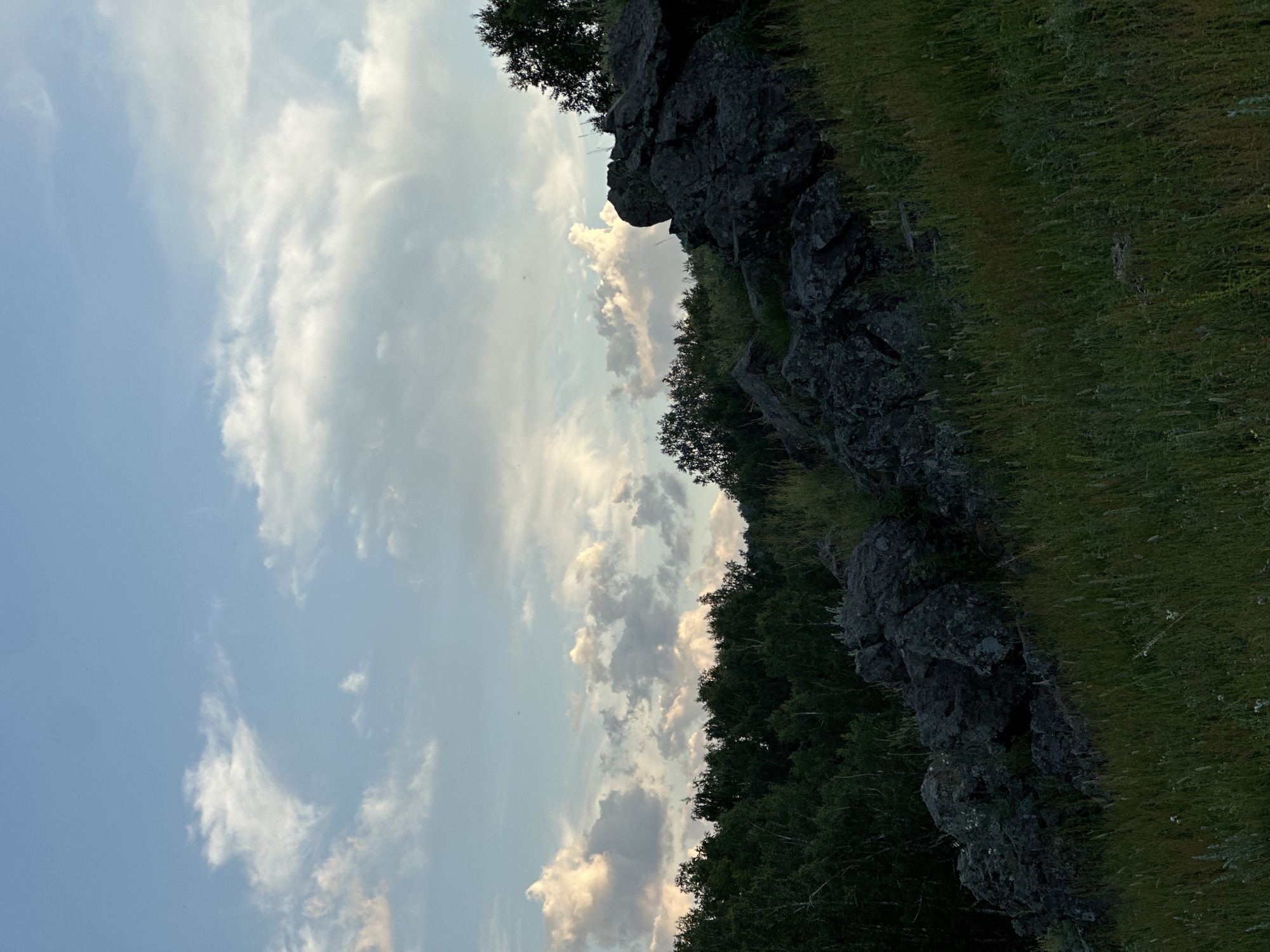 The image depicts a natural landscape with a rocky outcrop in the foreground, covered in green grass and dry vegetation. Behind the rocks, a dense forest of green trees stretches across the middle ground. The sky above is a pale blue, filled with scattered white and light gray clouds. The lighting suggests it is daytime, possibly late afternoon or early evening, as some of the clouds are tinged with warm, golden light. There are no people or man-made structures visible in the scene. The location is identified as Unknown, Unknown.