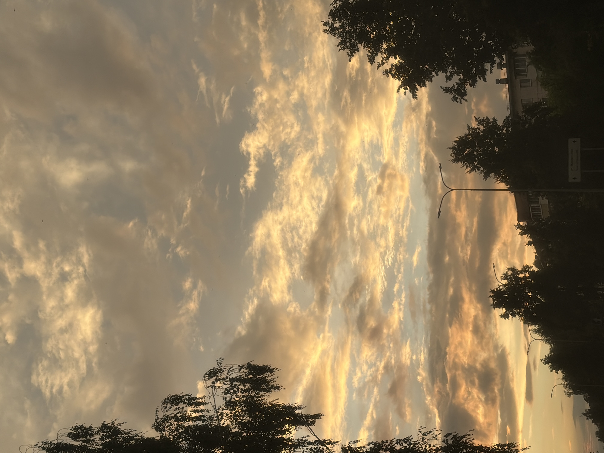The image depicts a sunset scene over Chaikovsky, Russia. The sky is filled with dramatic clouds illuminated by the setting sun, casting warm orange and yellow hues. Silhouetted against the sky are the branches of trees, including a prominent birch tree on the left. In the foreground, the tops of trees and the outlines of buildings are visible. Streetlights are also present, contributing to the urban landscape. The overall impression is one of a tranquil evening in a residential area.