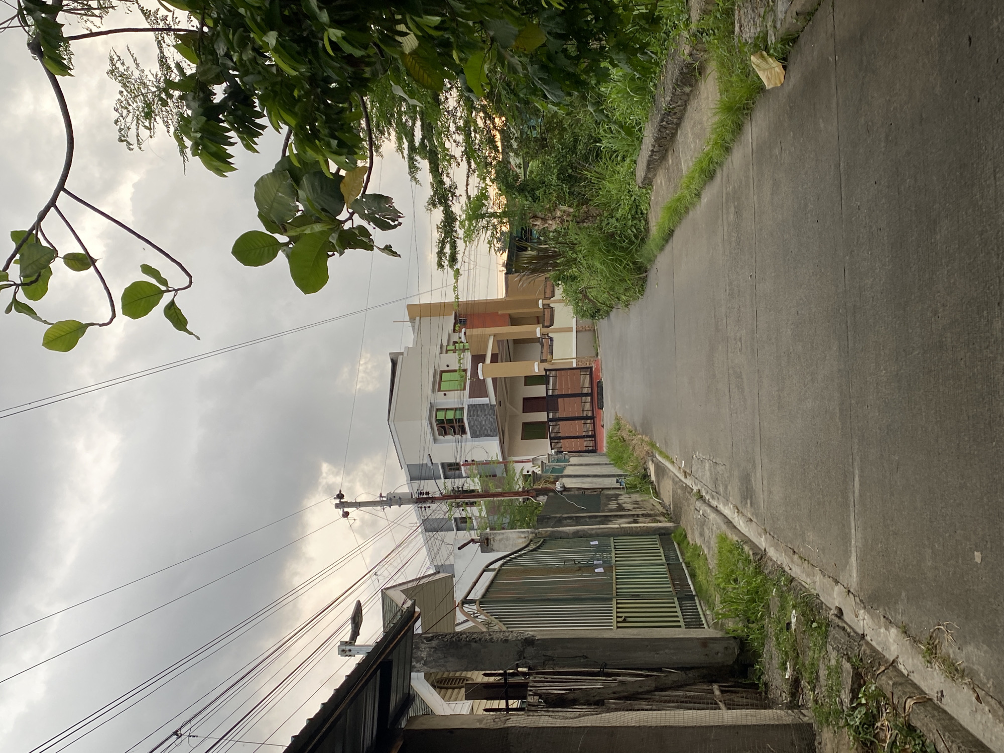 This image presents a detailed view of a concrete residential road in Davao City, Philippines, observed under an overcast sky. The road, appearing to ascend slightly and curve to the right, extends into the midground.
On the left side of the road, a series of structures are visible. In the immediate foreground, a dark-colored roofline and a section of a light-colored building with a peaked roof are partially visible. Further along, a tall, rectangular gray concrete post stands adjacent to a green metal gate composed of vertical bars, which appears partially open. Behind the gate, a multi-story house with a white and gray exterior features several windows with green-tinted glass. Adjacent to this structure, another multi-story modern house displays a facade of white, light brown, and orange, including balconies and additional green-tinted windows. Multiple overhead utility wires crisscross the upper portion of the scene, connecting to a utility pole on the far left, which supports a street lamp, and another utility pole positioned between the two prominent houses.
The right side of the road features a concrete curb followed by a narrow strip of grass. Beyond this, a raised, rough concrete or stone wall borders a dense expanse of wild green vegetation, consisting of various grasses, shrubs, and small trees. A single, desiccated yellowish-brown leaf rests on the curb in the lower right corner. A subtle orange-yellow light is discernible on the horizon behind the foliage on the right, suggesting either sunrise or sunset.
The sky above is consistently overcast, characterized by varying shades of gray with lighter, diffused areas. No individuals are depicted within the scene.