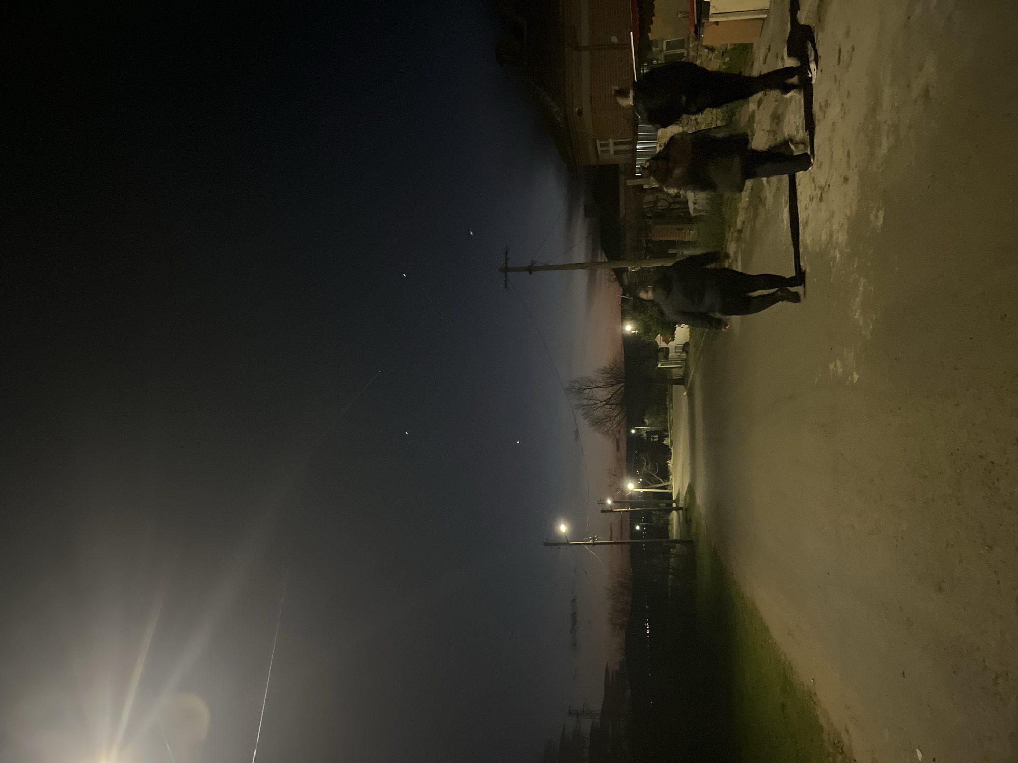 The image depicts a street in Lozarevo, Bulgaria, at night. Three individuals are walking along the right side of the road, their forms obscured by shadows. The street is illuminated by sporadic lampposts stretching into the distance. On the left, the sky transitions from dark to a faint orange glow on the horizon. The road surface is visible and appears to be paved. Buildings are visible along the right side of the road. Electrical poles are present, extending vertically upwards into the sky. The general environment appears to be residential.