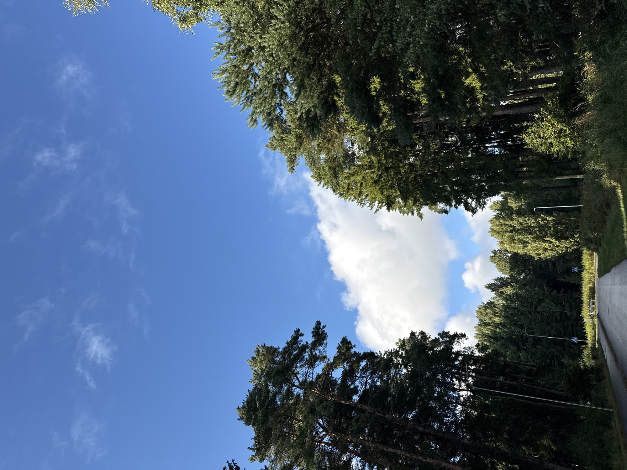 The image depicts a road leading through a wooded area with tall pine trees. The sky is blue with scattered white clouds. There are pedestrian crossing signs visible on the side of the road. The scene is set in the city of Harkujärve, Estonia. There are no people or discernible actions taking place.