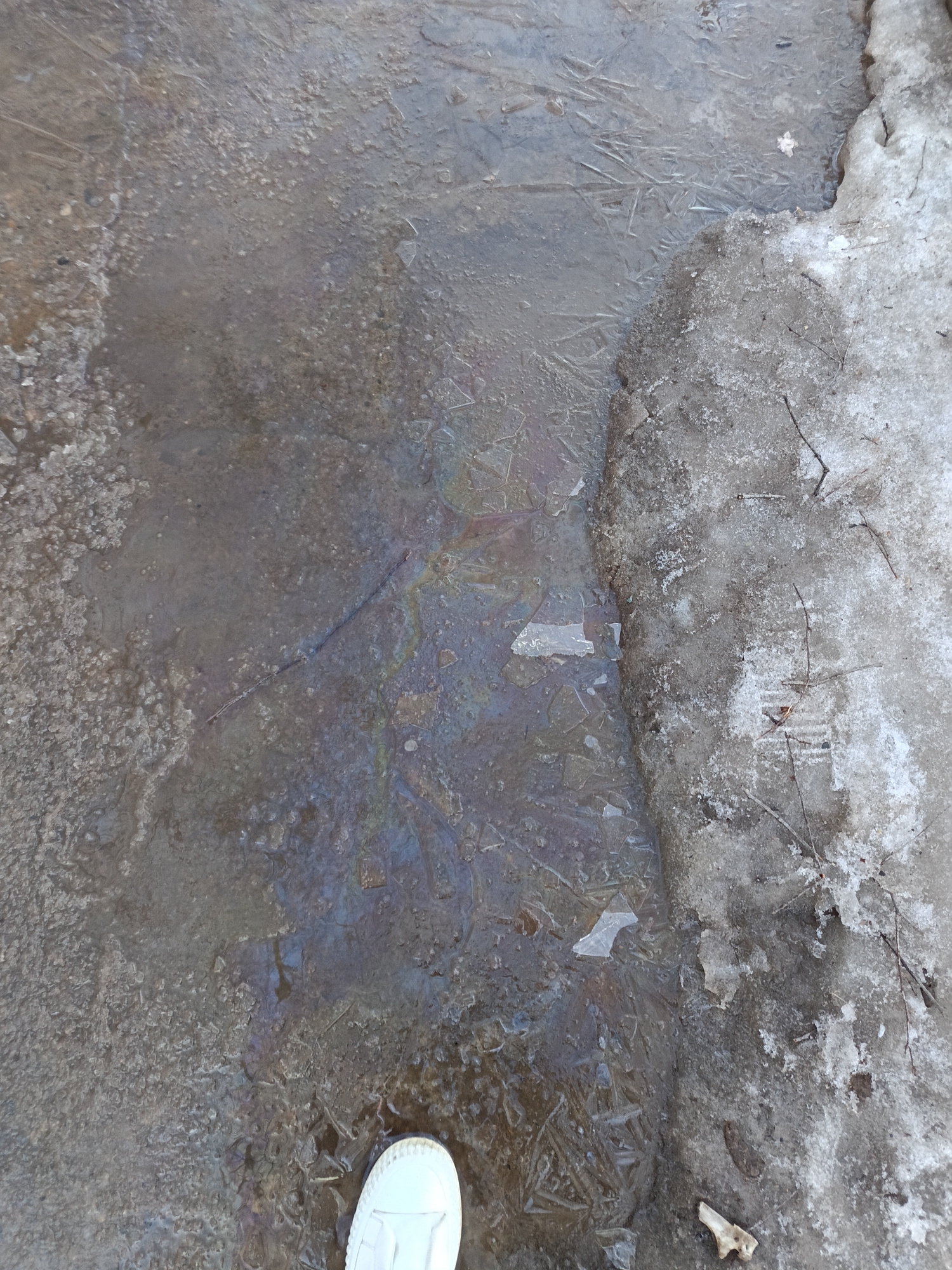 The image, captured in Chaikovsky, Russia, presents a top-down view of a partially melted ground surface. A central puddle of murky water exhibits a prominent iridescent oil sheen, reflecting a spectrum of colors. Within this puddle, various fragmented ice formations are visible, some displaying angular crystalline structures. To the right, a bank of dirty, thawing snow and ice contains scattered organic debris, including small twigs. The lower right portion of the frame shows the front of a white shoe, indicating a subject standing over the scene.