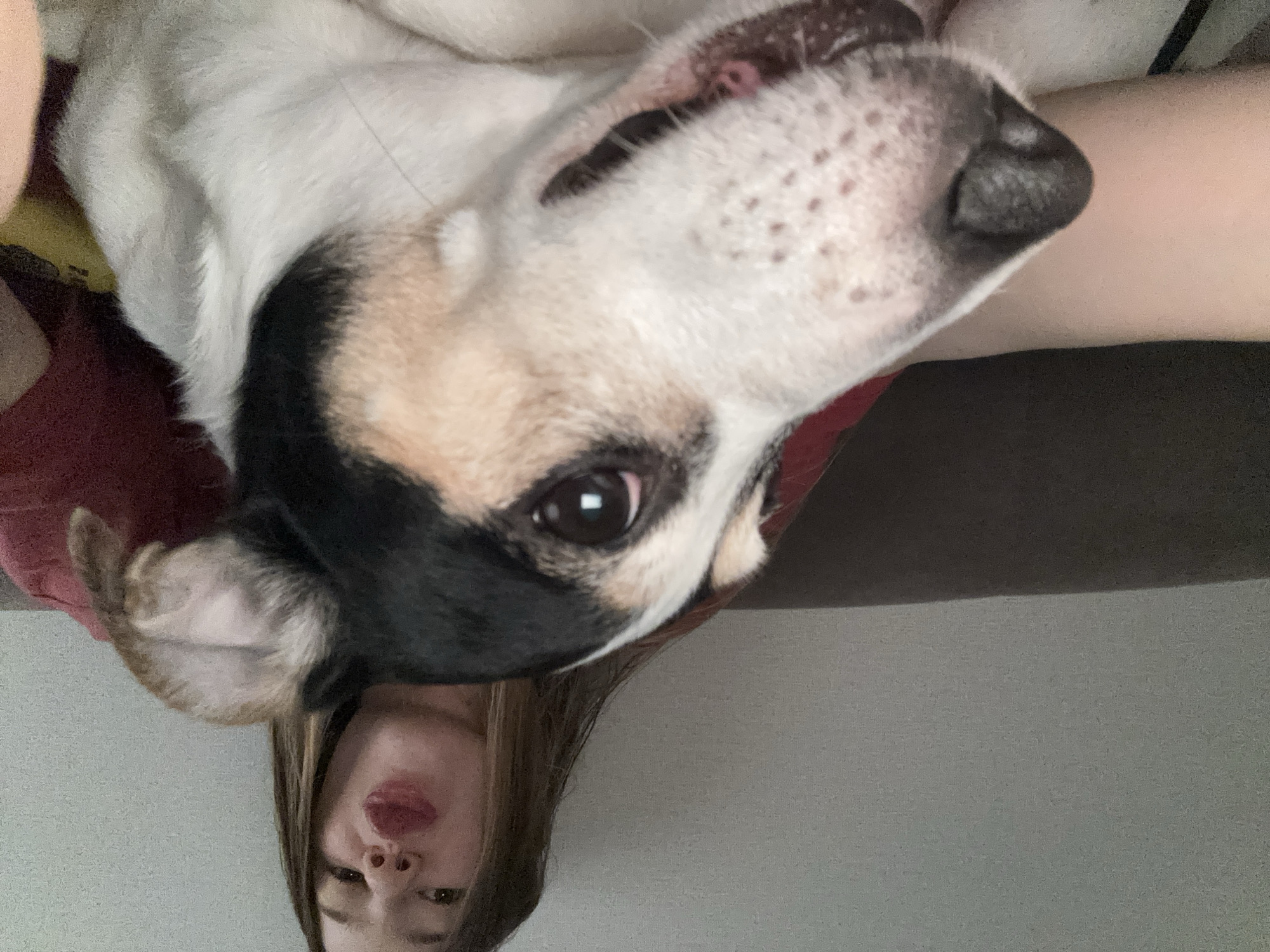 A young person with blonde hair is holding a dog while looking at the camera with their lips pursed. The dog is looking at the camera with its tongue slightly out. The background is a plain, textured wall and a dark couch. The image appears to be a selfie taken indoors.