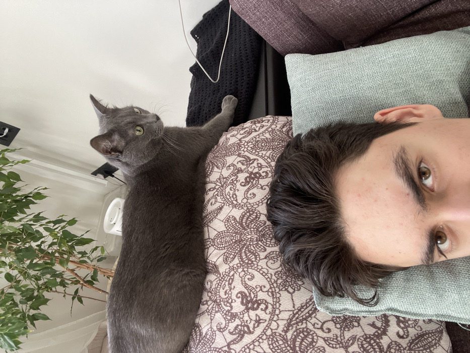 The scene is located in Tatarskoe Mamatkozino, Russia, depicting an indoor domestic environment. A young adult male is partially visible in the lower foreground, reclining. His head rests on a light green textured cushion, with only the upper half of his face, including his dark brown hair and light brown eyes, visible. Immediately above his head, a medium-sized gray short-haired cat with prominent green eyes is resting on a patterned cushion featuring beige fabric with intricate dark brown lace-like designs. The cat is oriented lengthwise, with its body facing left and its head turned slightly to the right, looking off-frame. Behind the cat, a dark piece of furniture or upholstery holds a crumpled black knitted garment and a thin, bent metal wire hanger. In the background, to the left, a large houseplant with multiple stems and green leaves is visible, along with a white cylindrical object, possibly a diffuser or humidifier, and a wall outlet mounted on a white wall.