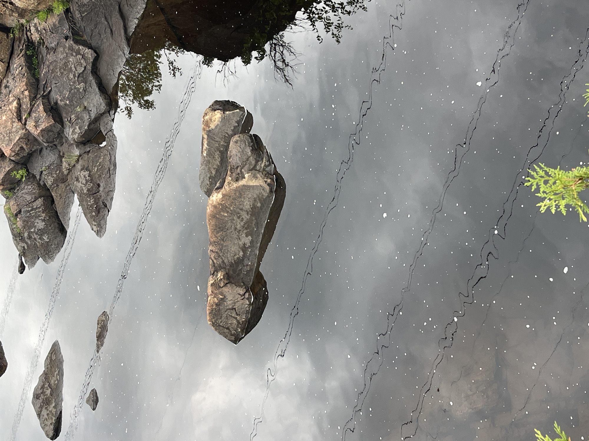 The image shows a reflection of rocks and trees on the surface of a body of water. The rocks appear to be part of a cliff face on the left side of the image, with some vegetation growing on them. In the center of the image, a large rock is submerged in the water, with its reflection clearly visible. Several other smaller rocks are also visible in the water, with their reflections. The water is dark and reflective, with ripples and small white specks that may be debris or light reflections. There are dark, wavy lines on the water's surface, possibly caused by currents or floating materials. In the upper part of the image, the reflection of tree branches and leaves is visible. The overall scene suggests an outdoor natural setting. The lighting and reflections indicate it is likely daytime, with possibly overcast skies given the muted light. No people or text are visible. The location is identified as the Village of Lyons Falls, USA.