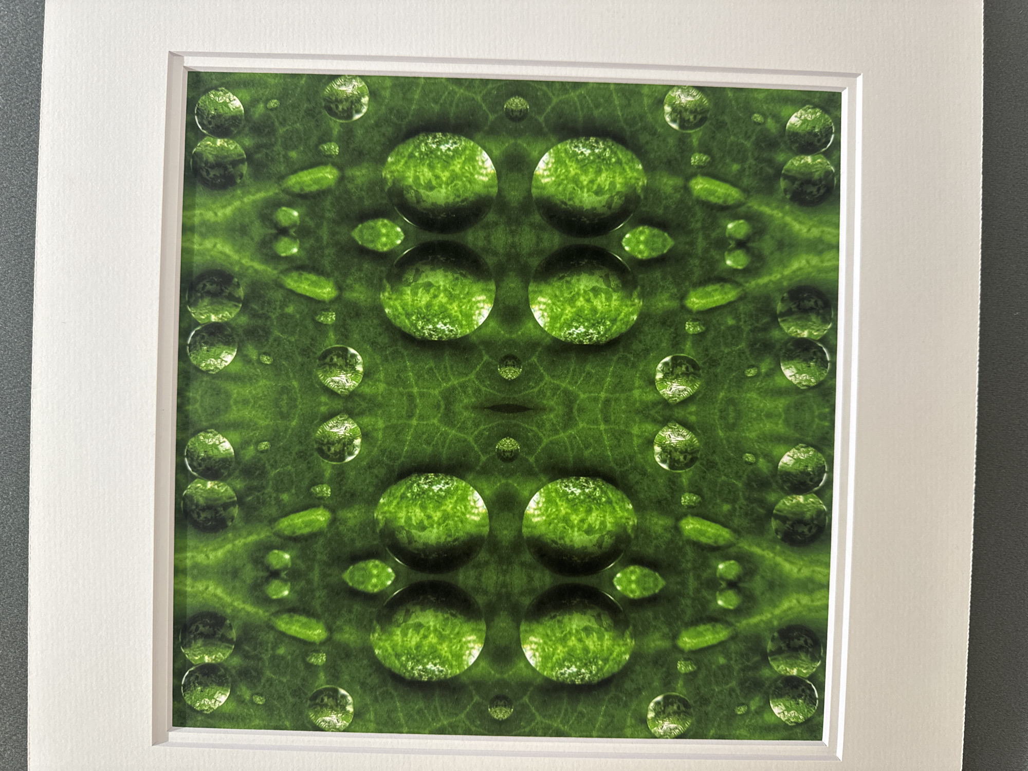 The image is a framed artwork featuring a symmetrical pattern of water droplets on a vibrant green leaf. The pattern is achieved through digital manipulation, creating mirrored halves of the leaf and droplets. The droplets vary in size, with some appearing as large, clear spheres reflecting the textured surface of the leaf and surrounding light, while smaller droplets are scattered across the surface. The leaf itself displays prominent veins and a rich green hue. The artwork is matted in white and framed, suggesting it is displayed indoors. The background of the image is a plain grey surface. This artwork is currently on display at the Kilkenny Arts Festival in Kilkenny, Ireland.