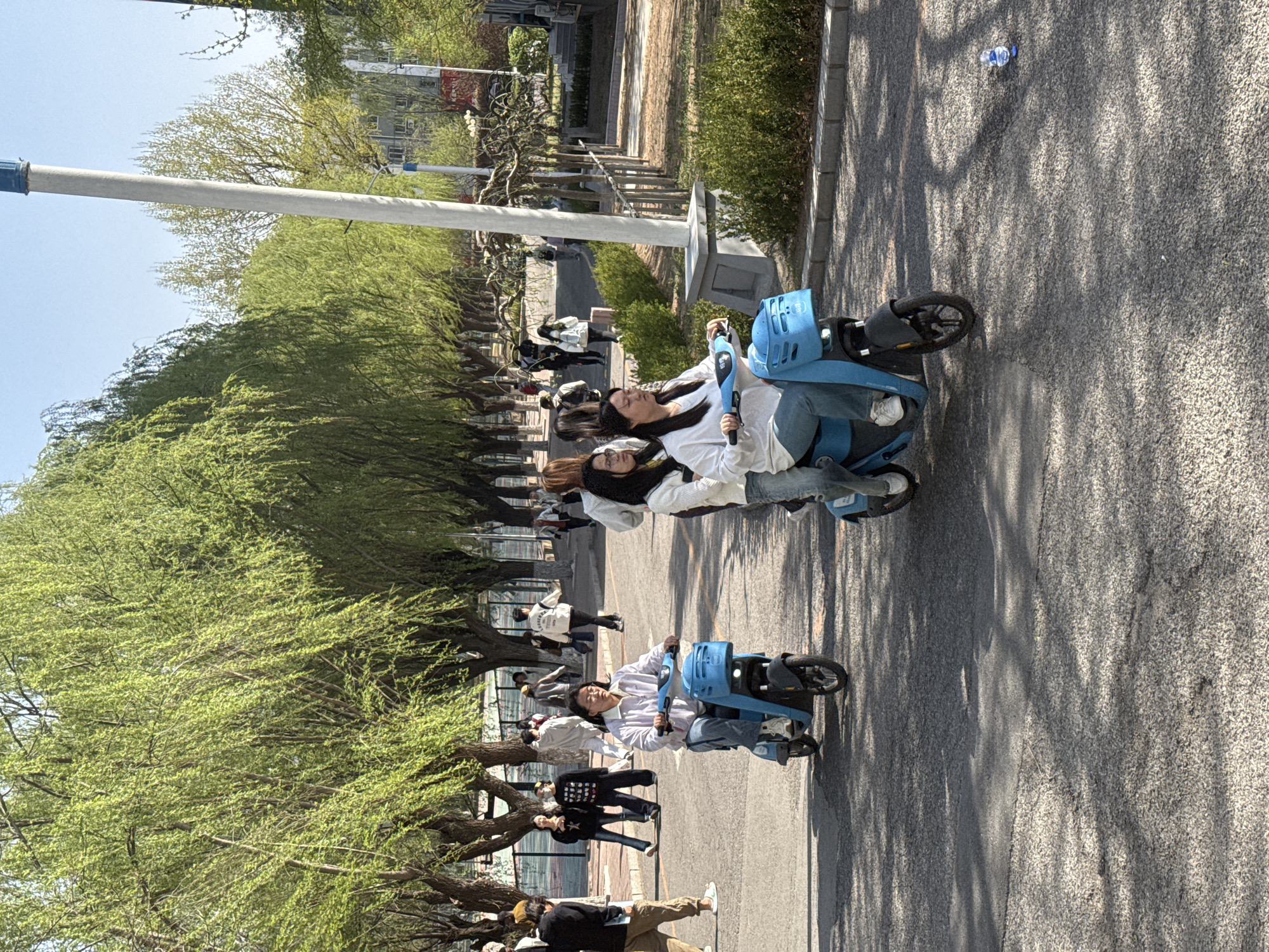 The image shows a street in Zhongtun, China, lined with trees on both sides. Several people are walking along the sidewalk. Two people are riding electric scooters on the asphalt road. A discarded plastic water bottle is on the street. The trees appear to be willows. A light pole is visible on the left of the frame.