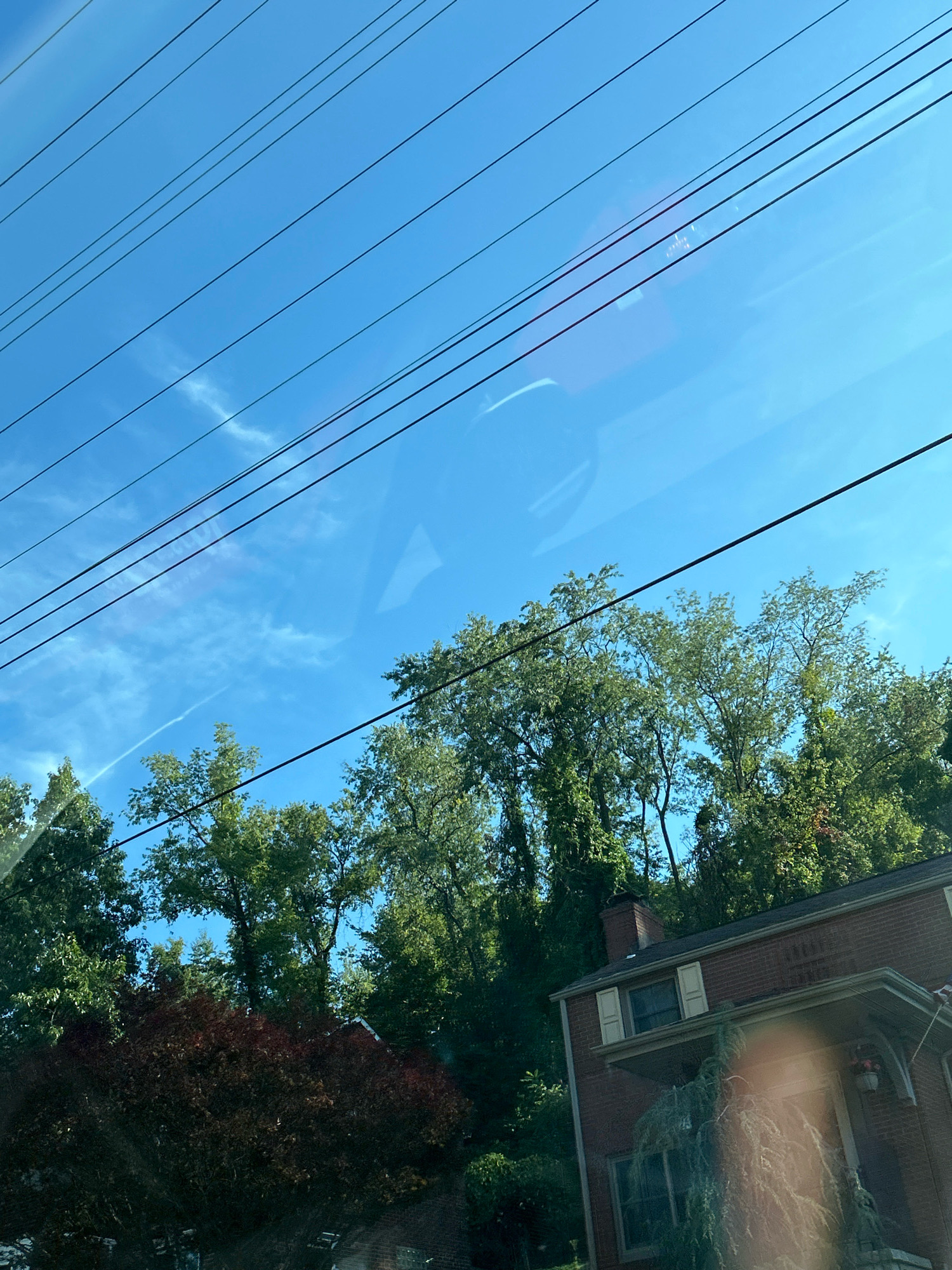 The image captures a bright, clear blue sky with several power lines crisscrossing the frame. A few wispy clouds are visible, along with what appears to be a contrail from an aircraft. Below the sky, a dense canopy of green trees dominates the upper portion of the image, with a single dark red bush in the foreground. A portion of a red brick house with a white porch roof and shutters is visible on the right side of the frame, nestled among the trees. The scene suggests a suburban or residential area, likely outdoors, possibly taken from a vehicle due to the angle and the reflection on the glass. The overall lighting indicates it is daytime, with the sun likely positioned to the right and slightly behind the viewer.