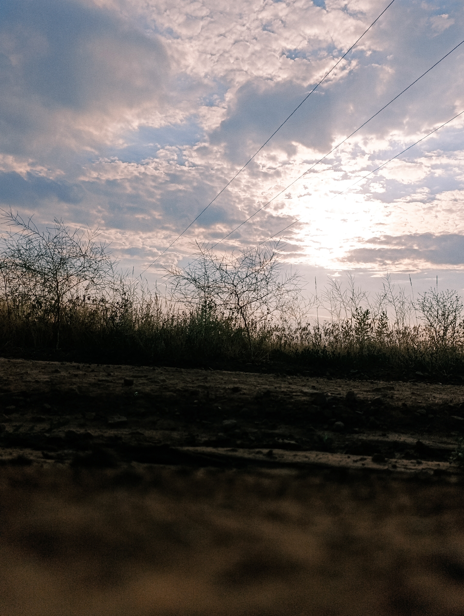 An outdoor, low-angle, full shot shows a dusky, natural scene against a bright sky. The sun is visible through scattered clouds, which range in color from white to gray. Three power lines stretch diagonally across the upper portion of the frame. In the midground, a dense line of silhouetted vegetation, including tall grasses and thin, bare-branched trees, forms a dark line. The foreground and immediate midground are dark and indistinct, appearing as rough, uneven terrain that is mostly in shadow. The image has a slightly hazy or filtered quality, with muted colors and a grainy texture. The scene appears to be located in an open, undeveloped area, possibly a field or rural roadside.