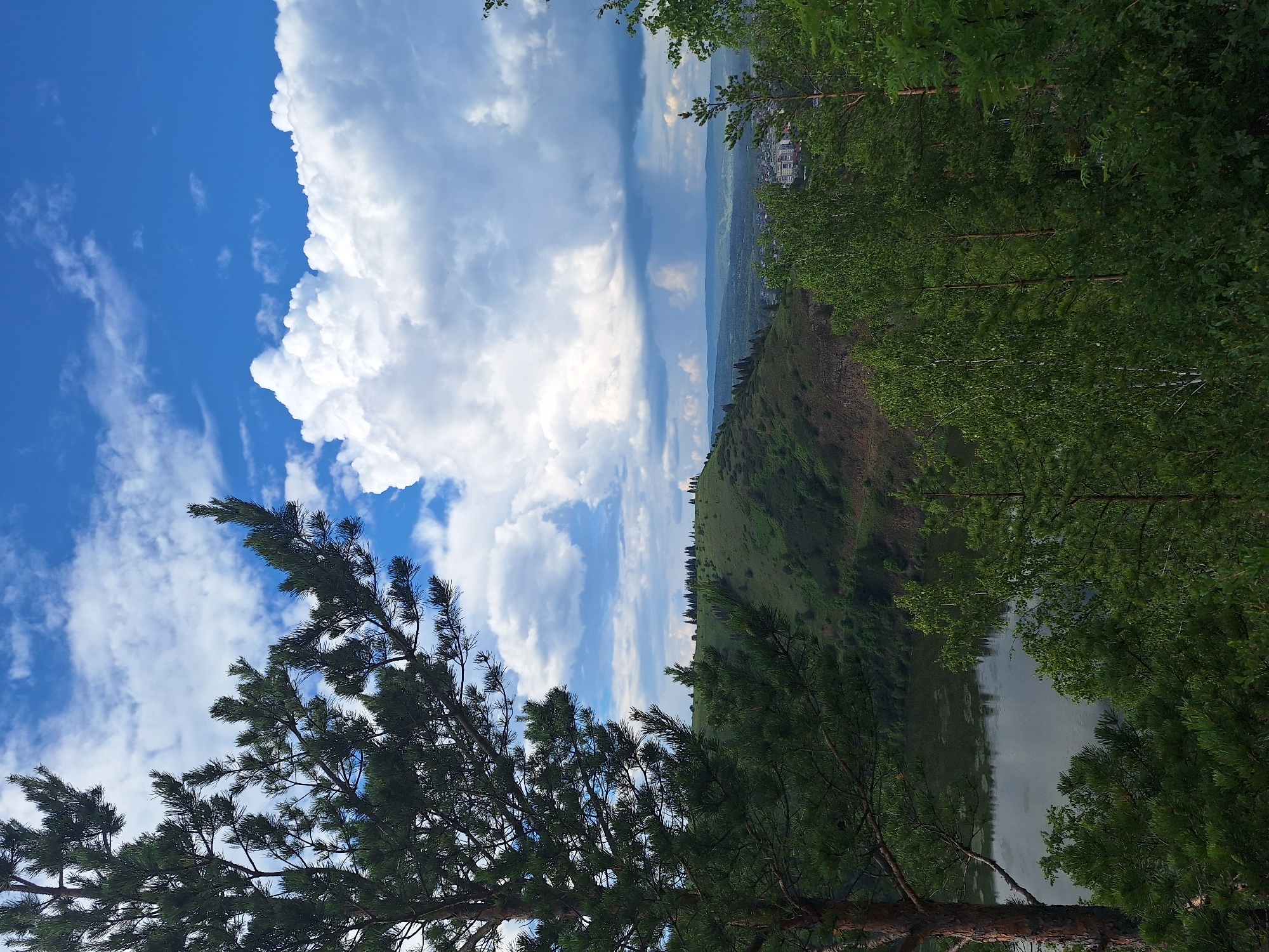 The image depicts a landscape view from a hill overlooking the city of Sim, Russia. In the foreground, a large pine tree is prominent on the left, with its branches extending into the frame. The middle ground features a body of water, likely a river or lake, reflecting the sky. Beyond the water, a green, rolling hill rises, dotted with evergreen trees and a path winding its way up. In the distance, the city of Sim is visible, with buildings and structures nestled within a valley. The sky is dramatic, with a mix of bright blue patches and large, white, cumulus clouds. Towards the horizon, darker clouds suggest an impending rain shower. The overall impression is one of a natural landscape meeting a populated area under a dynamic sky.