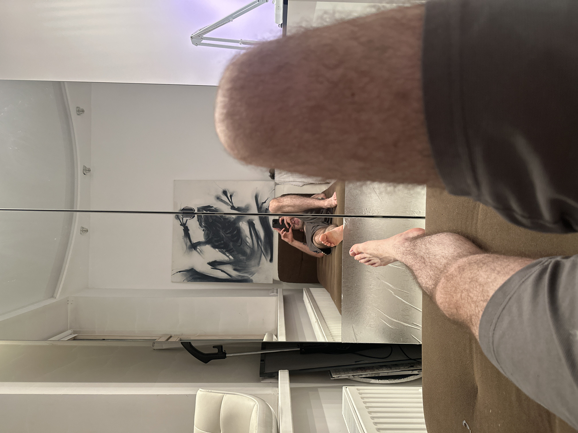 The image shows a person taking a picture of themselves in a mirror. The person is lying on a couch and holding a phone in their hand. The mirror reflects the person, as well as the room they are in, which contains a painting, a vacuum cleaner, a white chair, and a radiator. The location is not apparent in the image and cannot be determined to be in Moscow, Russia.