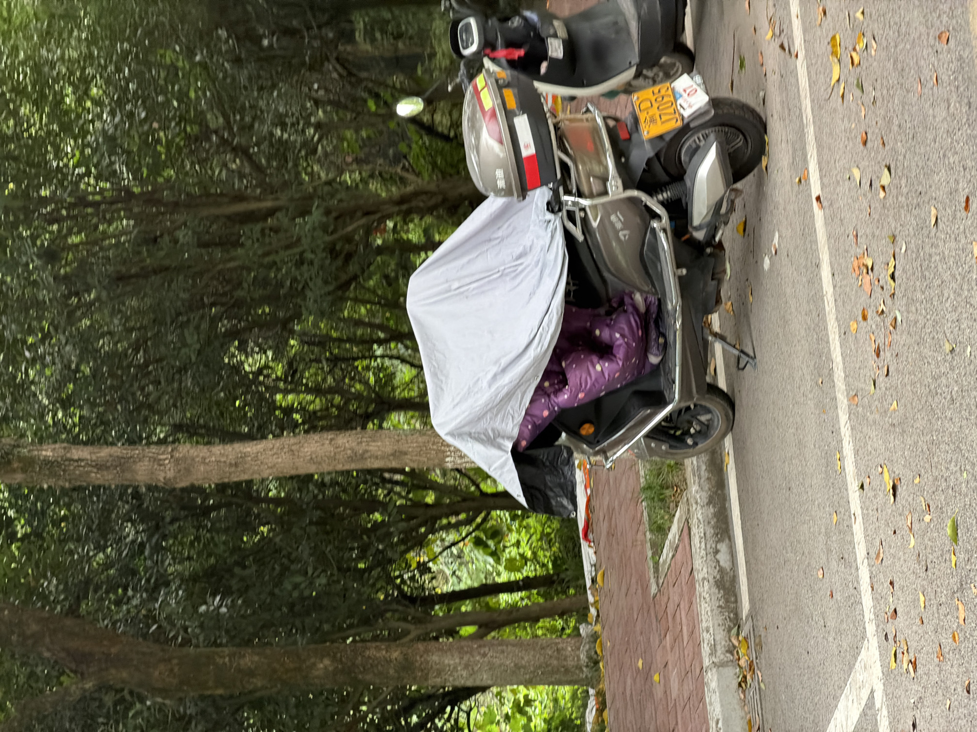 An outdoor scene in Jiangjin, China, features two parked electric scooters on an asphalt road. A silver scooter in the foreground is partially covered by a light gray tarp, revealing a portion of a purple patterned fabric underneath. The scooter has a rear storage box with red and yellow accents. A yellow license plate with black characters, "D JZ095", is visible on the rear. The scooter is on a paved surface marked with white lines and scattered autumn leaves. Behind the scooters, a brick sidewalk is visible, bordered by a concrete curb. The background consists of a dense line of trees with lush green foliage.