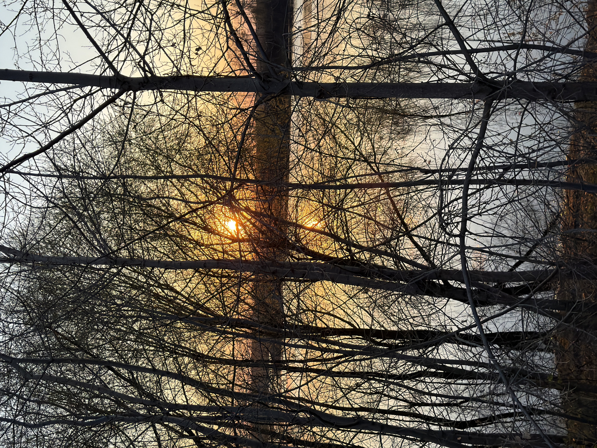 The image, taken in Chaikovsky, Russia, depicts a view looking upward through a dense network of bare tree branches. The sun is visible through the branches, creating a bright, warm glow. The trees are silhouetted against the sky, which varies in color from a pale blue to a soft orange, likely due to the sunset or sunrise. A pole-like structure intersects the middle of the image with horizontal elements attached to the pole.