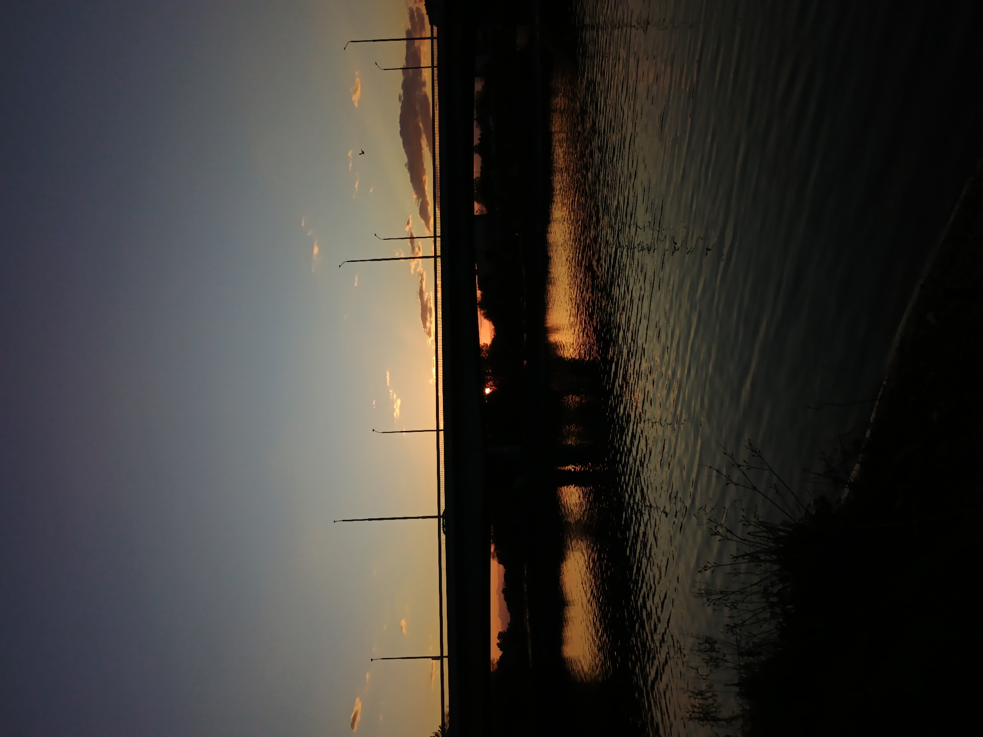 The image depicts a tranquil sunset scene over a body of water, likely a river or canal, in Plovdiv, Bulgaria. The sky, characteristic of twilight, transitions from a deep, dusky blue in the upper left to warm orange and yellow shades near the horizon, where the sun is setting. Wispy clouds are scattered across the sky, catching the golden light.
A prominent bridge forms a dark silhouette horizontally across the center of the frame. Streetlights are visible as vertical lines along the bridge's structure. The sun is partially obscured by the bridge, casting intense orange and yellow light that reflects off the clouds and the water below.
The water surface reflects the vivid colors of the sunset, creating a mosaic of dark blue, orange, and yellow hues with subtle ripples and small waves. These reflections are particularly bright directly beneath the setting sun. On the right side of the image, a dark, indistinct shoreline with silhouetted vegetation, possibly reeds or bushes, borders the water. A small bird can be seen in flight against the illuminated sky on the upper left.
The scene conveys a peaceful and calm atmosphere, emphasizing the natural beauty of the sunset. No people or visible text are present in the image.