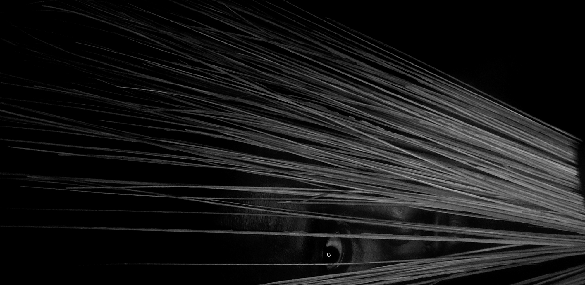 The image is a black and white, low-key photograph featuring what appears to be a person's eye visible through a dense arrangement of thin, straw-like objects. The overall composition creates a sense of concealment or voyeurism. The background is solid black. There is no evidence to support that the image was taken in Narayi, Nigeria.