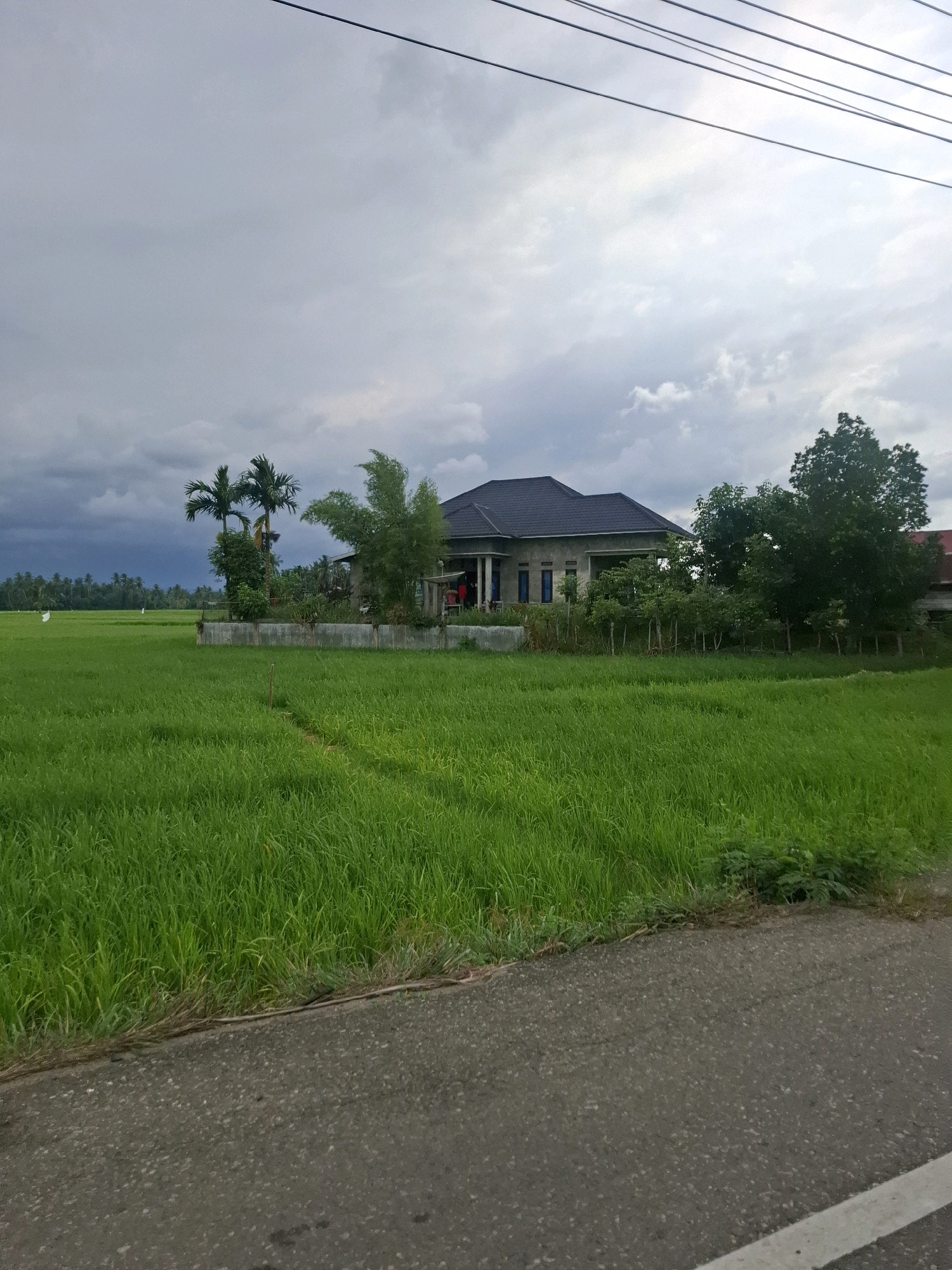 The image depicts a rural scene in Cotentung, Indonesia, characterized by a vast expanse of vibrant green rice paddies under a cloudy, overcast sky. In the mid-ground, a modern, gray-toned house with a dark roof stands prominently, surrounded by lush vegetation including palm trees and bamboo. A low concrete wall encircles the property. A paved road runs along the foreground of the image, with a white line marking its edge. The overall impression is one of tranquility and agricultural life in a tropical setting, with the dark clouds suggesting the possibility of impending rain.