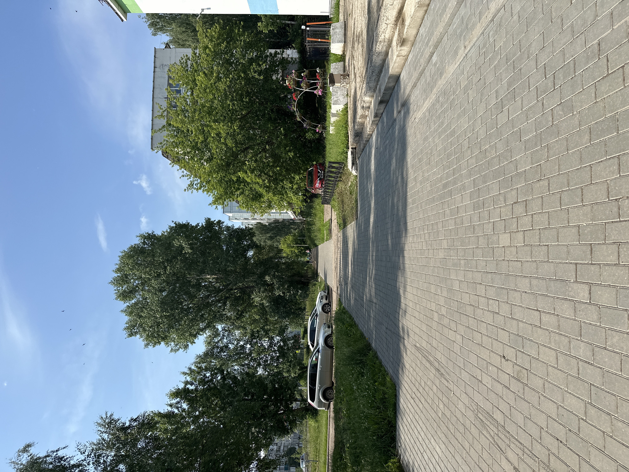 A paved walkway leads into the distance in Chaikovsky, Russia, lined with green grass and trees. Several cars are parked along the left side of the walkway. In the background, apartment buildings and more trees are visible under a clear blue sky with a few birds flying. A decorative arch with flowers stands to the right, near a residential building.