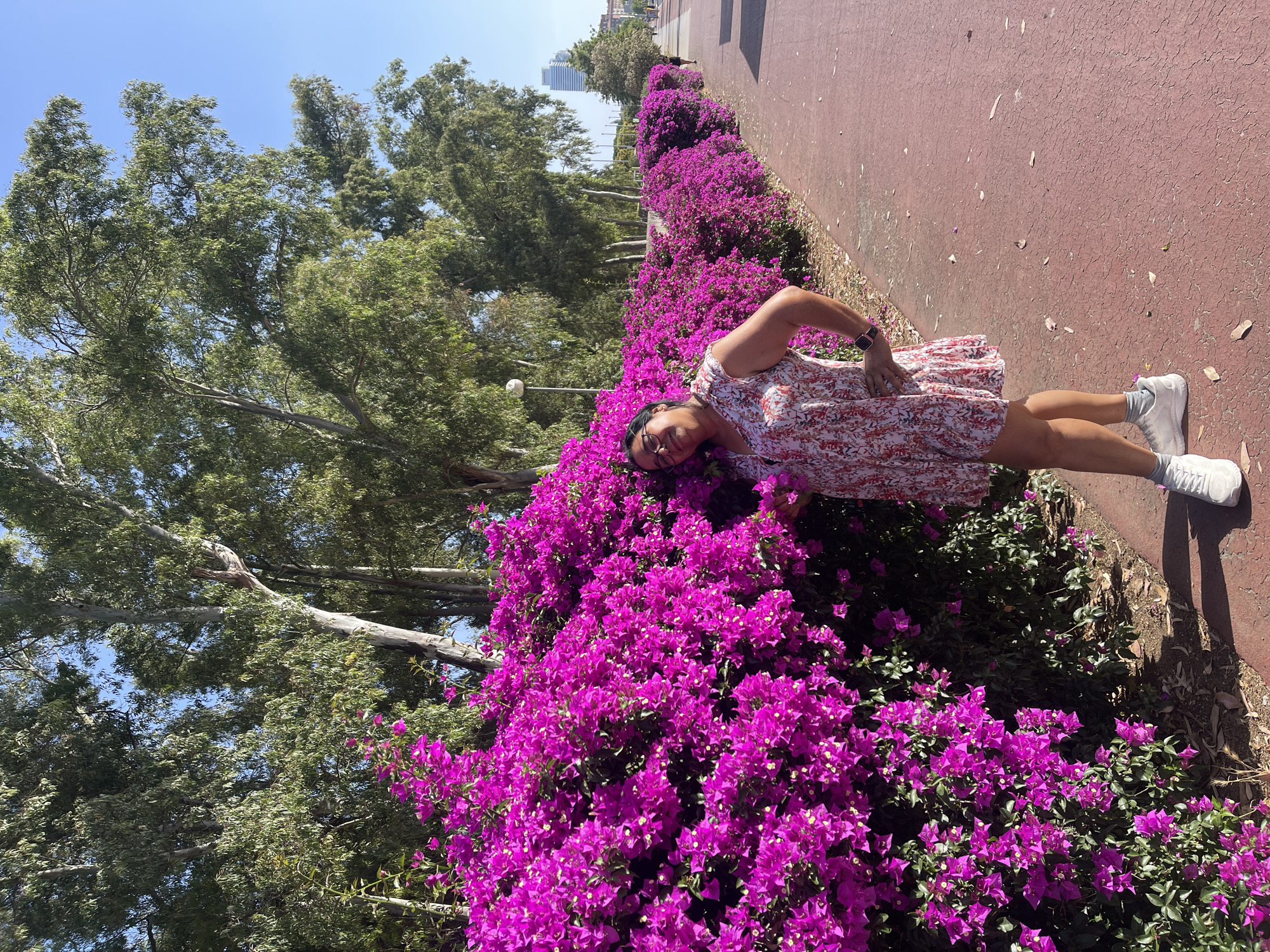 A medium shot captures a woman standing outdoors, leaning against a vibrant wall of fuchsia bougainvillea flowers. She is positioned on the right side of the frame, with her body angled towards the left, looking at the camera. The woman has dark hair and wears glasses, a floral-patterned dress in shades of white, red, and pink, and white sneakers. Her left arm is bent, with her hand resting on her hip, and her right hand touches the bougainvillea.
Behind the woman, the bougainvillea flowers form a dense, colorful hedge that extends along a red paved walkway. In the background, tall trees with green foliage line the walkway, interspersed with sunlight. Further in the distance, a modern building with a light-colored facade is visible against a clear blue sky. The scene suggests an urban park or a landscaped area within the city. The paved surface appears to be a path or promenade, with fallen leaves and petals scattered on its reddish-pink surface. This setting could be the Parc del Fòrum in Barcelona, Spain, known for its distinctive landscaping and urban design.