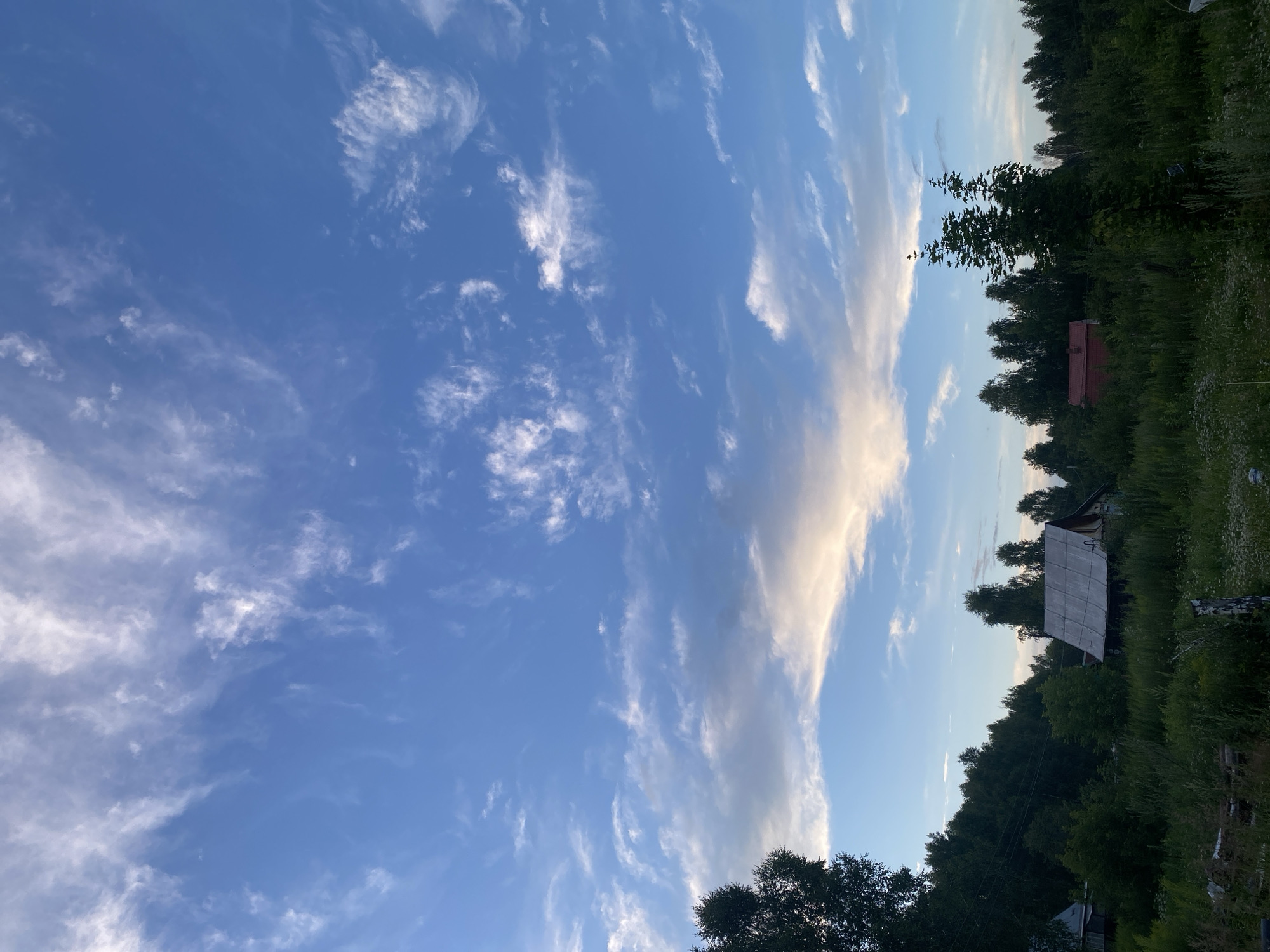The image depicts a rural landscape under a blue sky with scattered clouds. In the foreground, tall green grass and vegetation dominate, interspersed with small white flowers. Several trees of varying heights are visible, some forming a dense line along the horizon. Among the trees, two small structures are present. To the left, a predominantly white building with a dark roof is partially obscured by foliage. Further to the right, a rustic wooden house with a light-colored roof and dark siding is situated. To the right of the wooden house, a bright red, rectangular building with a dark roof is visible. The overall impression is that of a quiet, natural setting, possibly a village or a dacha settlement, consistent with the location of Lindo-Pustyn' (Kantaurovskii S/S), Russia. There are no people or animals visible in the scene.