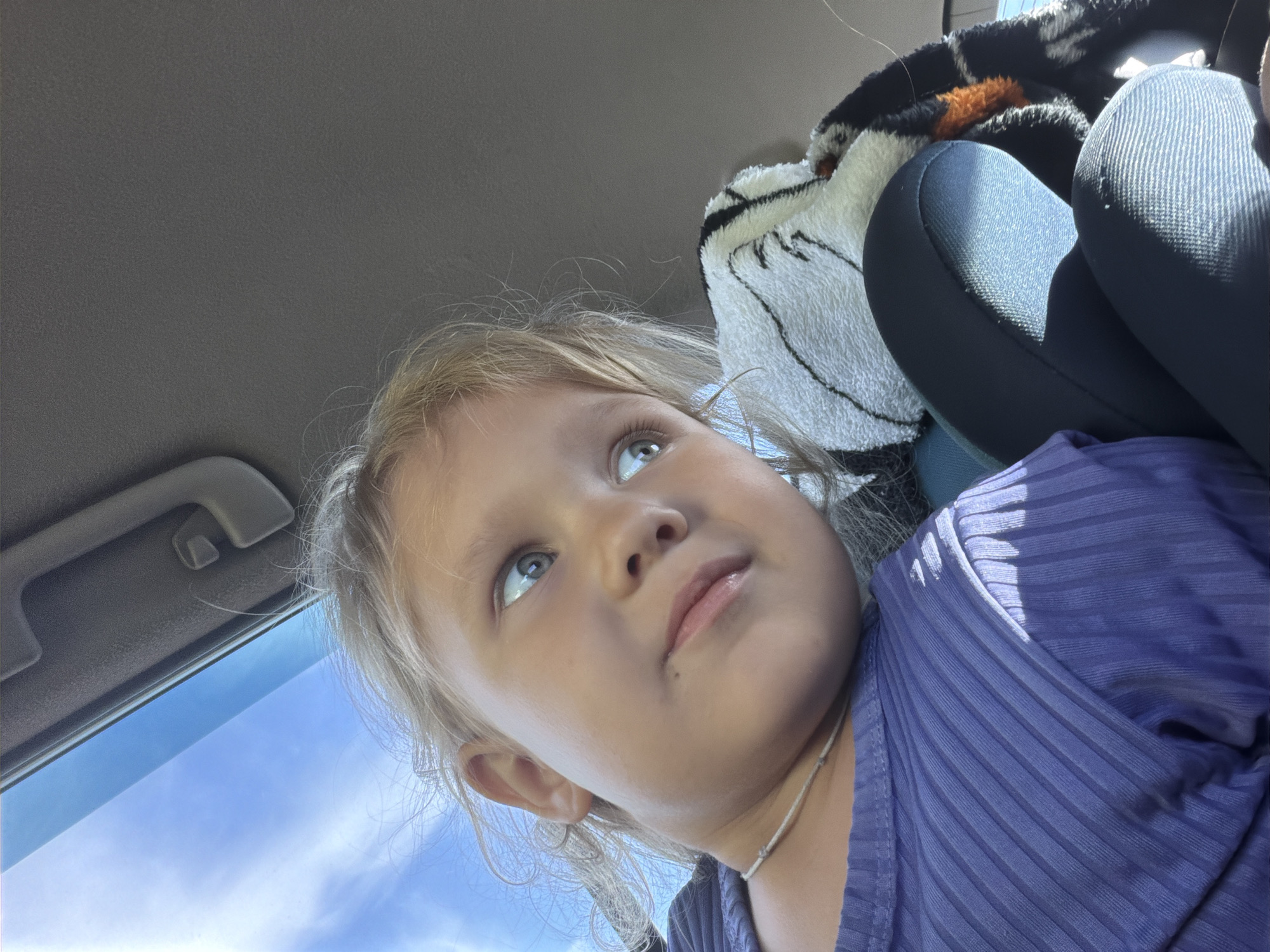 This media file features a close-up, low-angle shot of a young girl inside a vehicle. She has light blonde hair and is looking upwards and to her right. Her eyes are blue and she has a faint smile. She is wearing a purple, ribbed top and a thin necklace. Sunlight streams in from the right, casting shadows on her face and clothing.
Behind her, the interior of a car is visible, including a dark gray headliner and a portion of a car seat with a patterned blanket draped over it. The blanket has a black and white design with orange accents. Through the side window, a bright blue sky with a few wispy clouds is visible, suggesting it is daytime and fair weather. The image appears to be taken from the perspective of someone sitting next to or behind the girl. The setting is likely a car on a sunny day, possibly during travel. No text is visible in the image.