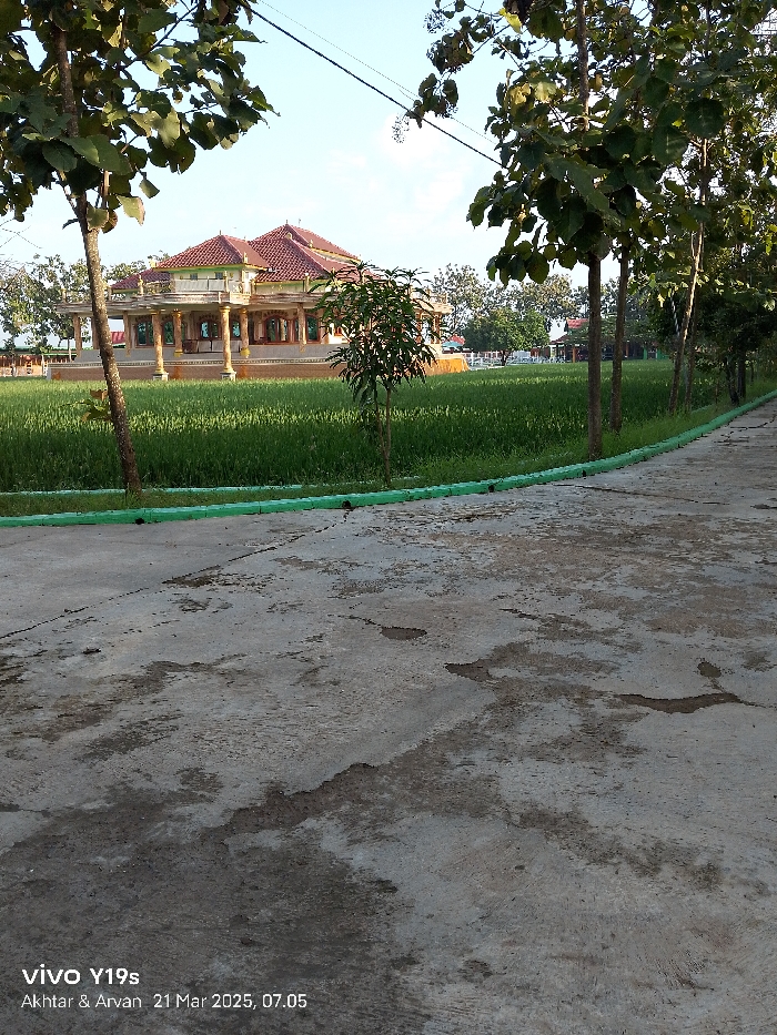 The image shows a concrete pathway in Kecamatan Anjatan, Indonesia, at coordinates -6.417 latitude and 107.978 longitude. The pathway leads to a large, two-story building with a red tile roof and white columns. The building is surrounded by a field of green grass. On the left side of the image, a tree trunk and a portion of its branches are visible. The tree trunk is positioned close to the edge of the pathway and extends up into the sky. To the right side of the image, a portion of the pathway is visible. There are trees in the background on both sides of the pathway. The sky is blue and clear, with no visible clouds. The image was taken at 07:05 on March 21, 2023.