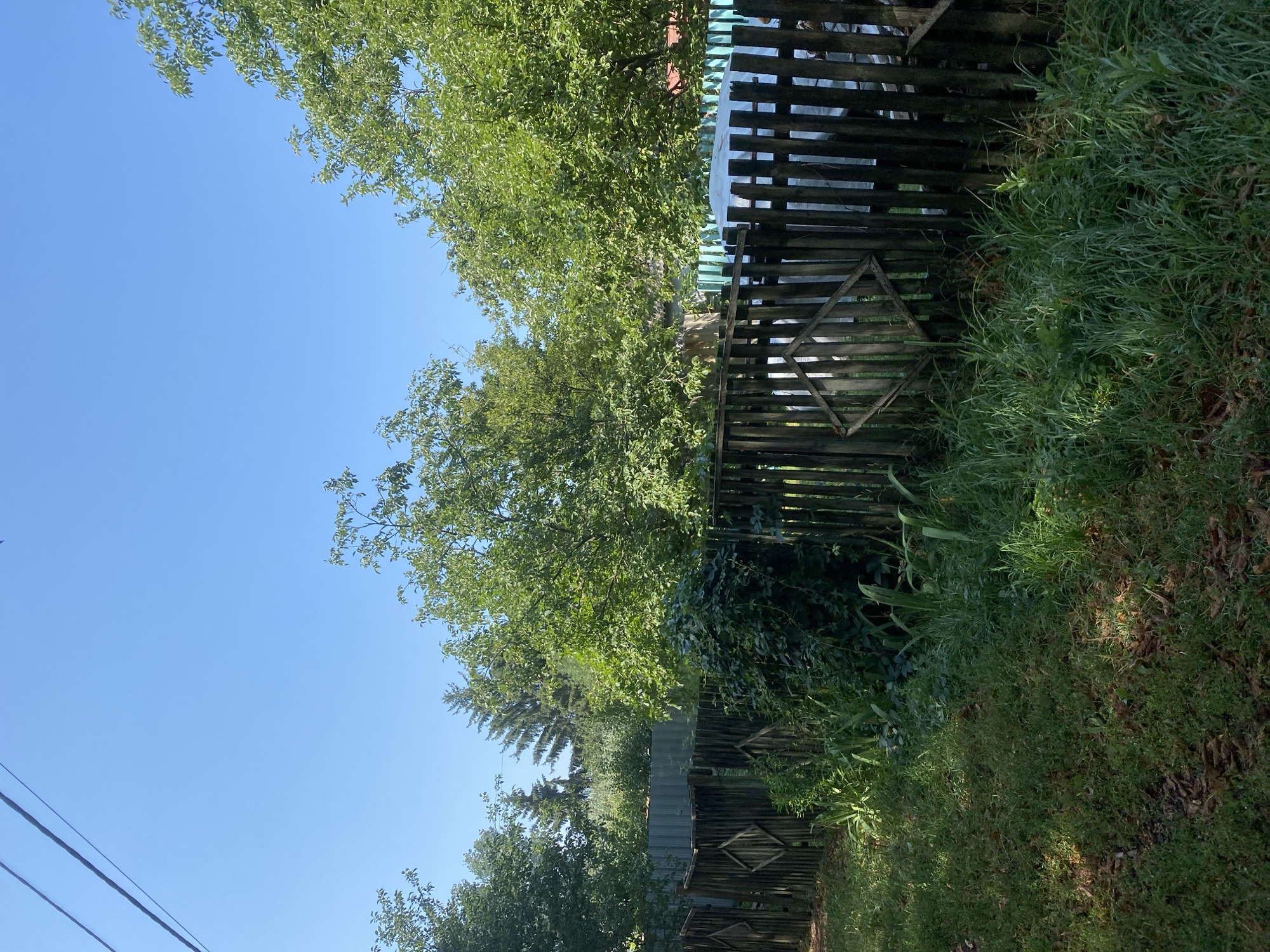 A full shot captures a rustic wooden fence bordering a grassy area under a clear blue sky. The fence, made of vertical wooden planks, shows signs of age and wear, with some sections featuring diamond-shaped inserts. Lush green foliage, including trees and vines, grows along and behind the fence, creating a natural barrier. In the foreground, grass and fallen leaves cover the ground. The scene appears to be a rural or suburban setting, possibly a backyard or the edge of a property. The image is taken during the daytime, indicated by the bright sunlight casting shadows. There are no people or animals visible in the frame. The location is identified as Poltava, Ukraine.
