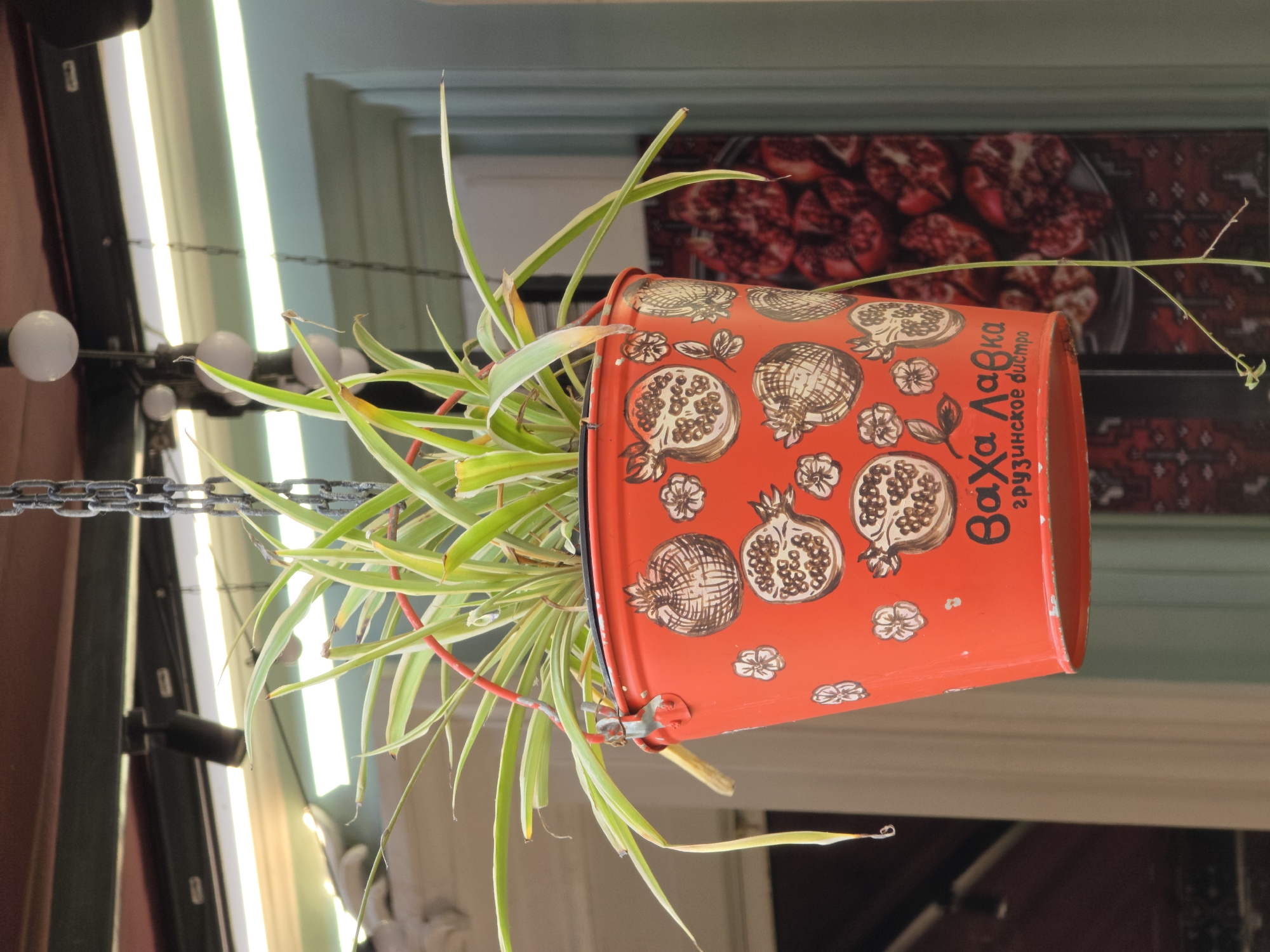 A potted spider plant with long, thin green and yellow striped leaves hangs from a metal chain in front of an establishment with Georgian script and pomegranate imagery on its exterior. The plant is in a bright orange metal bucket decorated with drawings of pomegranates and small flowers. The text on the bucket reads "Ваха Лавка" (Vakha Lavka) and "грузинское бистро" (Georgian bistro). In the background, a blurred image of halved pomegranates is visible. The scene appears to be outdoors, possibly on a street in Rostov-on-Don, Russia, given the Georgian influence suggested by the text and imagery. Overhead, artificial lighting and part of a ceiling or awning are visible.