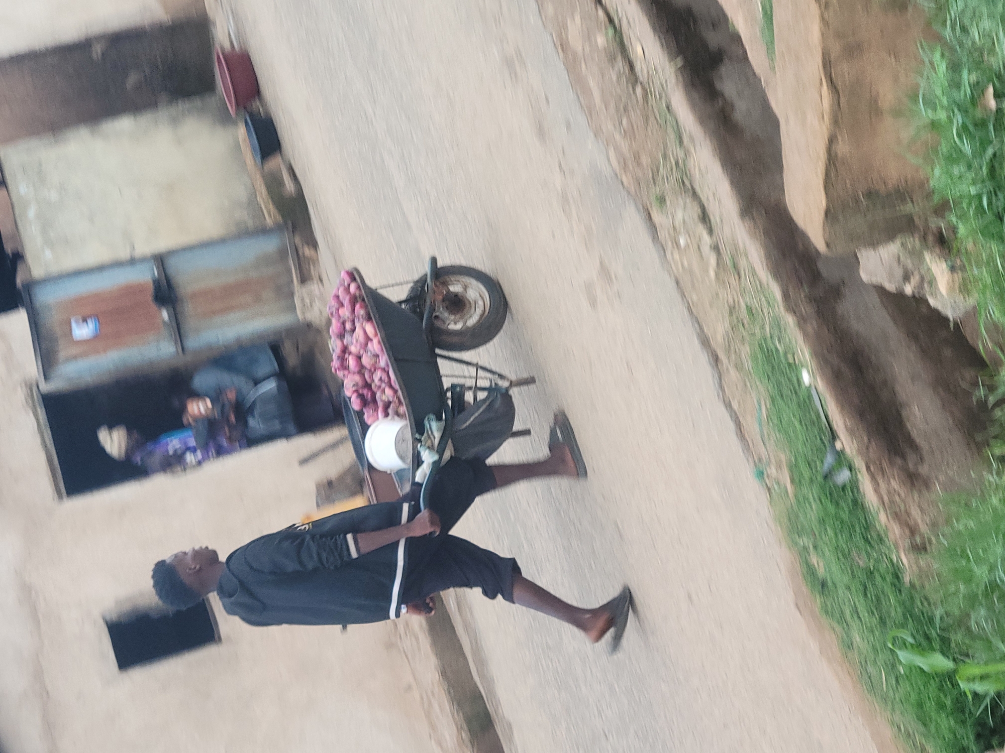This image captures a street scene in Jos, Nigeria, featuring a young man actively pushing a wheelbarrow. The man, with dark skin and short dark hair, is positioned in the mid-ground, walking towards the right. He wears a black long-sleeved top with white striped accents on the cuffs and hem, paired with dark knee-length shorts. His right foot is bare, while his left foot wears a dark slide sandal.
The wheelbarrow, dark in color, is heavily laden with numerous reddish-purple onions. A white plastic bucket is placed on top of the onions, and a dark fabric bag hangs from the wheelbarrow's frame.
In the background, a light-colored building with a small, dark rectangular window is visible on the left. To the right, another structure features a multi-toned metal door, partially reddish-brown and partially light blue/grey, with a small white sign attached. An open doorway adjacent to this door reveals two blurred figures within, one identifiable by a light-colored head covering and colorful clothing.
The ground is a light-colored paved road surface. Along the right edge of the frame, a dirt and concrete drainage channel is present, lined with green grass and sparse vegetation. Two plastic basins, one black and one reddish-brown, are observed on the ground near the background buildings.