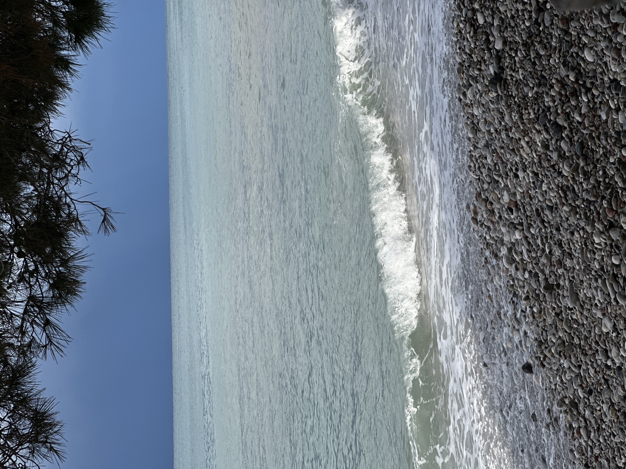 The image displays a coastal scene on a pebble beach in Šušanj, Montenegro. In the foreground, a coarse pebble beach composed of various grey, brown, and dark-toned stones extends. A breaking wave is present at the water's edge, characterized by a white foamy crest and turbulent water retreating over the pebbles. The sea beyond the wave is a light blue-green, exhibiting surface ripples. The horizon line is visible and straight. Above the sea, the sky is a uniform dark blue-grey, indicative of overcast conditions. The top portion of the frame is partially obscured by the dark, silhouetted branches and needles of a conifer, likely a pine tree. No individuals, animals, or man-made structures are visible.