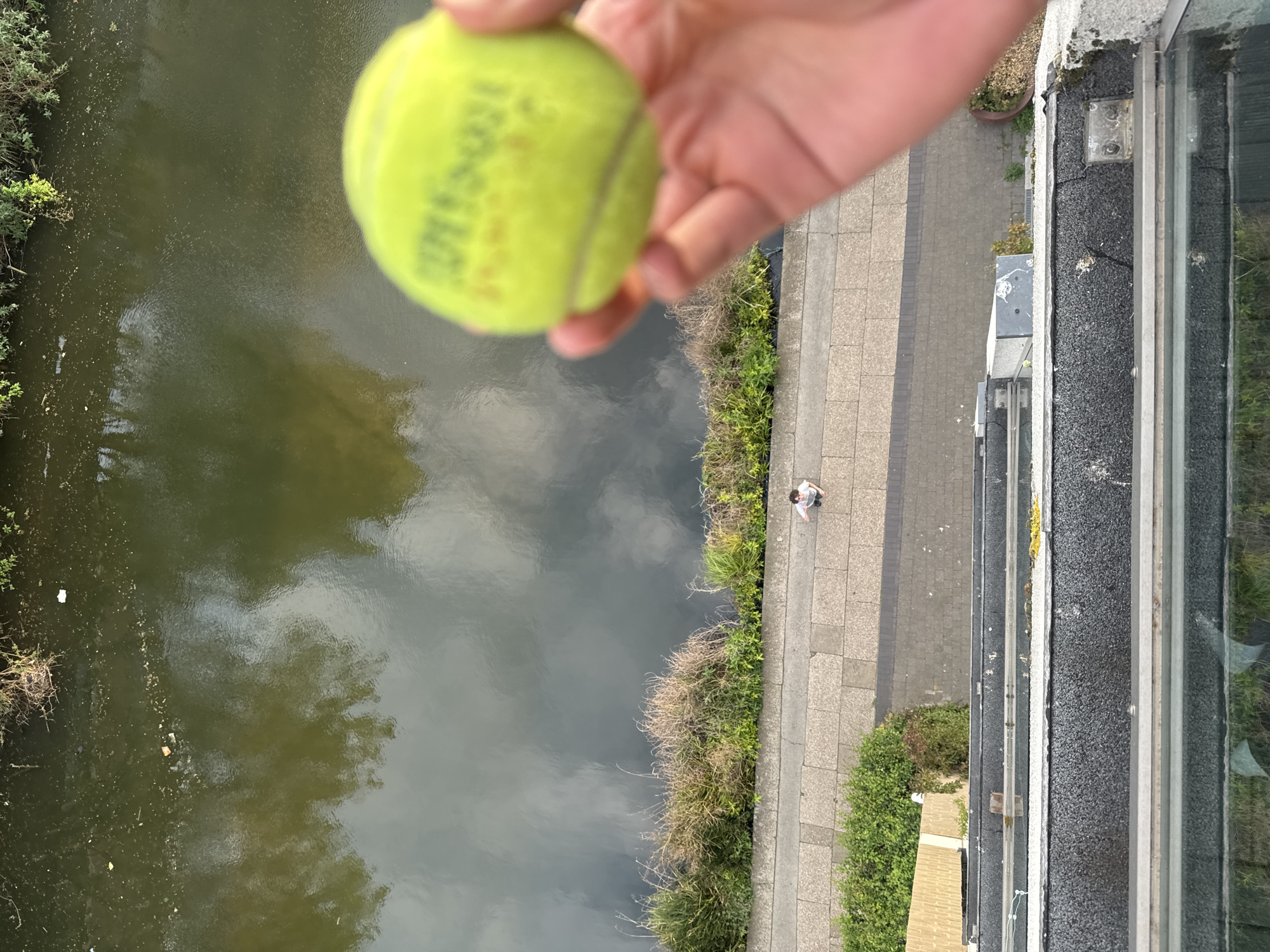 A high-angle, top-down view captures an outdoor urban scene, likely a canal in London, from a significant height. In the immediate foreground, a human hand is holding a bright yellow-green tennis ball, both slightly out of focus. Faint text, including the brand "DUNLOP," is visible on the ball.
Below, a dark, calm body of water, presumably a canal or river, fills the left side of the frame. It reflects the sky, showing patches of grey clouds. Along the water's edge, there are sparse green and dry bushes, and some small pieces of litter are visible floating on the surface.
To the right of the water body, a grey paved pedestrian path or sidewalk extends into the distance. A strip of vegetation separates the path from the canal. Further to the right, the grey facade of a building with visible windows indicates an adjacent structure. A lone person, small in scale due to the high vantage point, is seen walking along the paved path in a white top. The scene is well-lit, suggesting daytime under what appears to be partly cloudy conditions.