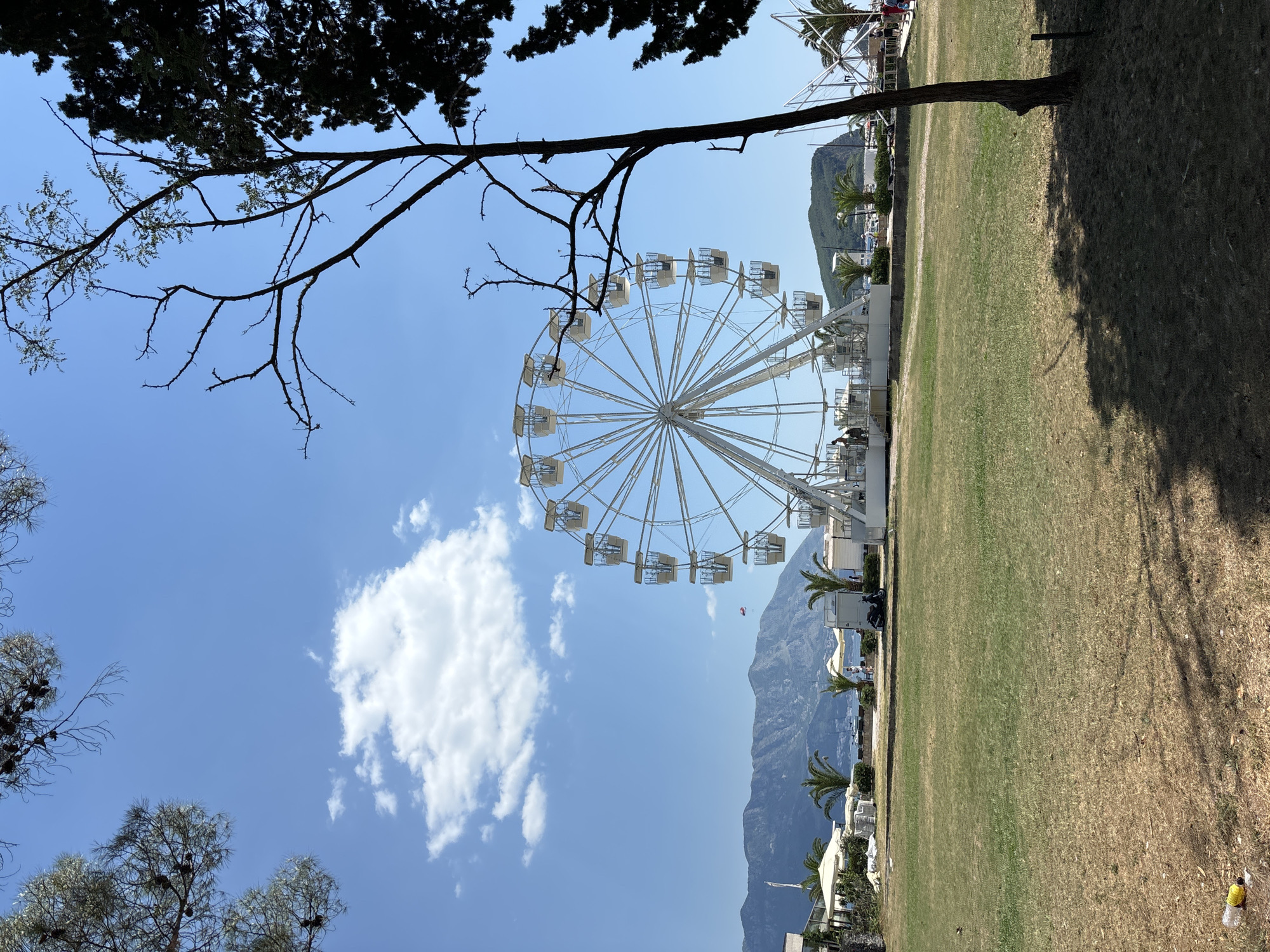 This is a low-angle shot of a Ferris wheel on a bright, sunny day. The Ferris wheel is white and has many gondolas. It is positioned to the left of the frame, with a large tree branch extending from the top left corner. The background features a clear blue sky with some scattered white clouds, a lush green field, and a mountain range in the distance. Palm trees and some white structures are visible at the base of the mountains. The overall scene suggests a summer day at a recreational area, possibly a park or amusement area. There are a few people visible near the Ferris wheel and in the distance, but they are too small to discern details. The time of day appears to be late morning or early afternoon due to the bright sunlight and the shadows cast by the trees. The weather is pleasant, indicated by the clear sky and the presence of people outdoors. There is no visible text in the image.