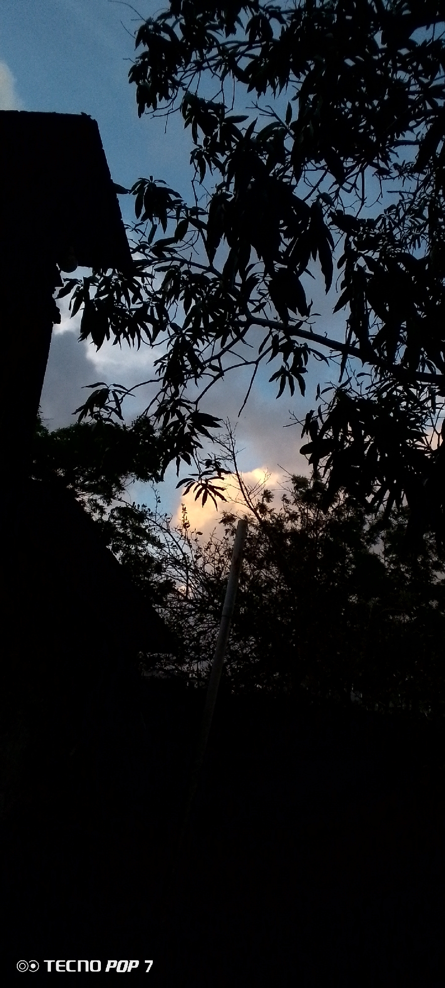 This is a vertical, low-angle shot of a tree silhouetted against a twilight sky in Altagracia, Venezuela. The sky is a mix of deep blue and lighter patches with some clouds. The branches of the tree are dark and intricate, with many leaves visible in silhouette. A portion of a dark building is visible on the left side of the frame, also in silhouette. In the background, more trees and foliage are seen in silhouette. A light-colored pole, possibly a fence post or a part of a structure, runs vertically through the center of the image, extending from the middle ground into the background. The lighting suggests it is either dusk or dawn, with the sky beginning to lighten. The overall mood is serene and natural. The text "TECNO POP 7" is visible in the bottom left corner of the image, indicating it was taken with a Tecno Pop 7 phone.