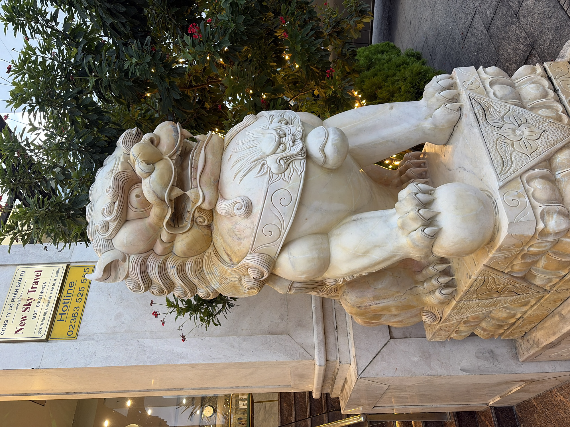 The image shows a stone statue of a Foo dog, a mythological Chinese guardian lion, placed on an ornate stone pedestal. The Foo dog is depicted with its mouth open, a mane of stylized curls, and is resting its paw on a sphere. Behind the statue, a building facade is visible with a sign that reads "New Sky Travel" and a yellow hotline sign displaying the number "02363 525 555". The building appears to be made of marble. To the right of the statue, there are lush green trees with some red flowers and decorative string lights. The ground in front of the statue is paved with square tiles. The overall setting suggests an outdoor location, likely an entrance to a business in a city environment, specifically Đà Nẵng, Vietnam, as indicated by the text on the sign. There are no people visible in the image.