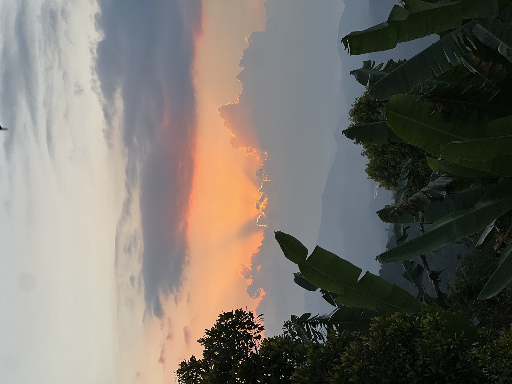 The image captures a serene sunset over a hilly landscape in Busungbiu, Indonesia. The sky is a canvas of soft gradients, transitioning from a pale yellow at the horizon to a soft grey at the top, with streaks of orange and pink painted by the setting sun. Rays of sunlight pierce through the clouds, illuminating their edges with a warm glow. In the foreground, lush green banana leaves and the dark silhouette of a tree frame the view, adding depth and a sense of tropical wilderness to the scene. In the distance, layers of hazy mountains recede into the soft twilight, with hints of a small body of water visible between them. A solitary bird is captured in flight against the dusky sky. The overall atmosphere is one of tranquility and natural beauty.
