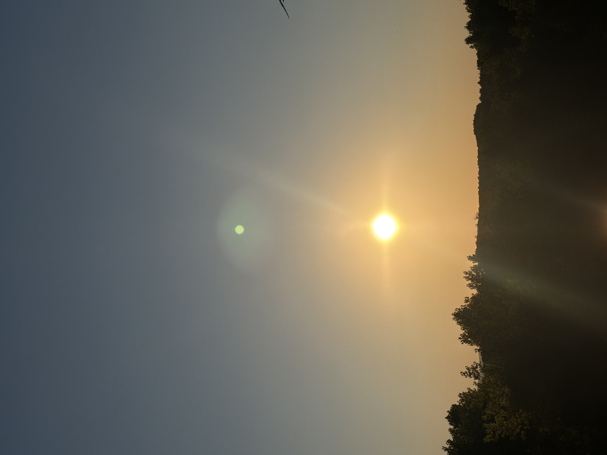 The image depicts a serene sunset over Nesebar, Bulgaria. The sun, a bright orb of golden light, is positioned in the center of the frame, casting a warm glow across the sky and the landscape below. The sky transitions from a deep blue at the top to a soft orange hue near the horizon, creating a gradient of color.
A line of lush green trees forms a dark silhouette against the illuminated sky, suggesting a natural setting on the outskirts of the city. The trees are dense and varied in height, creating an undulating horizon. Sunlight streams through some of the trees, highlighting their foliage with a golden light.
In the upper right portion of the image, a solitary bird is captured in flight, its wings spread as it soars against the backdrop of the fading light. The bird's presence adds a dynamic element to the tranquil scene.
There are no visible people or human structures in the immediate vicinity. The overall impression is one of natural beauty and peacefulness, characteristic of a coastal sunset. The image is a vertical composition, emphasizing the vastness of the sky and the silhouette of the treeline.