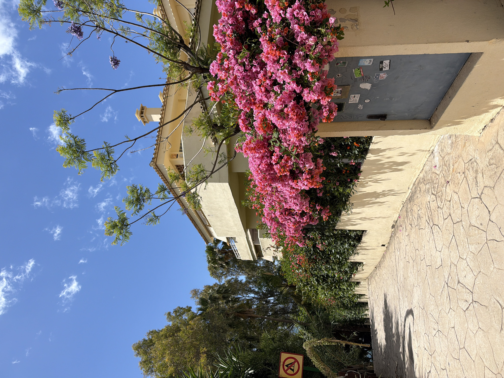 The image depicts a street scene in Benalmádena, Spain. The view is looking up at a building facade adorned with vibrant pink bougainvillea. A tree with delicate, lacy foliage and some purple blooms is also visible against a clear blue sky with scattered clouds. The building is a light tan color with a chimney. A utility door with several stickers on it is embedded in the wall. The street is paved with patterned stone. At the bottom of the frame, there is dense green vegetation, including palm trees. A yellow and red sign with a crossed-out airplane, indicating no low flying aircraft, is noticeable among the greenery.