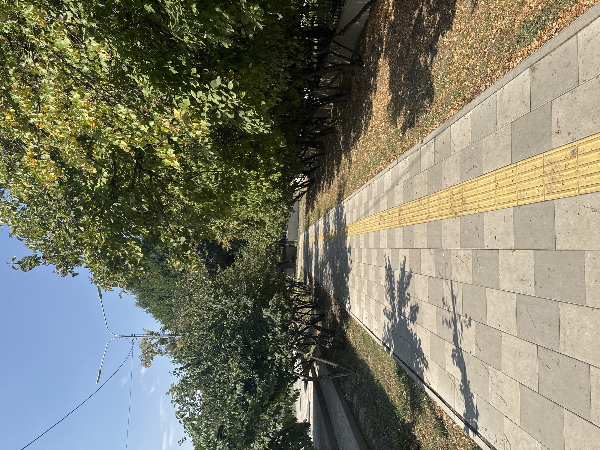 The image shows a paved pedestrian walkway lined with trees in Almaty, Kazakhstan. A textured yellow tactile paving strip runs along the side of the walkway, indicating a pathway for visually impaired individuals. The walkway is made of square concrete tiles in alternating light gray and darker gray shades, with some leaves scattered on the ground. The trees on both sides of the walkway are full of green leaves, with some yellowing leaves on the right side, suggesting it might be early autumn. Sunlight casts shadows of the trees onto the walkway. In the background, a street lamp with two arms is visible against a clear blue sky, along with power lines. A low, white wall and a dark fence are visible to the right of the trees. The overall scene depicts a well-maintained urban outdoor environment.