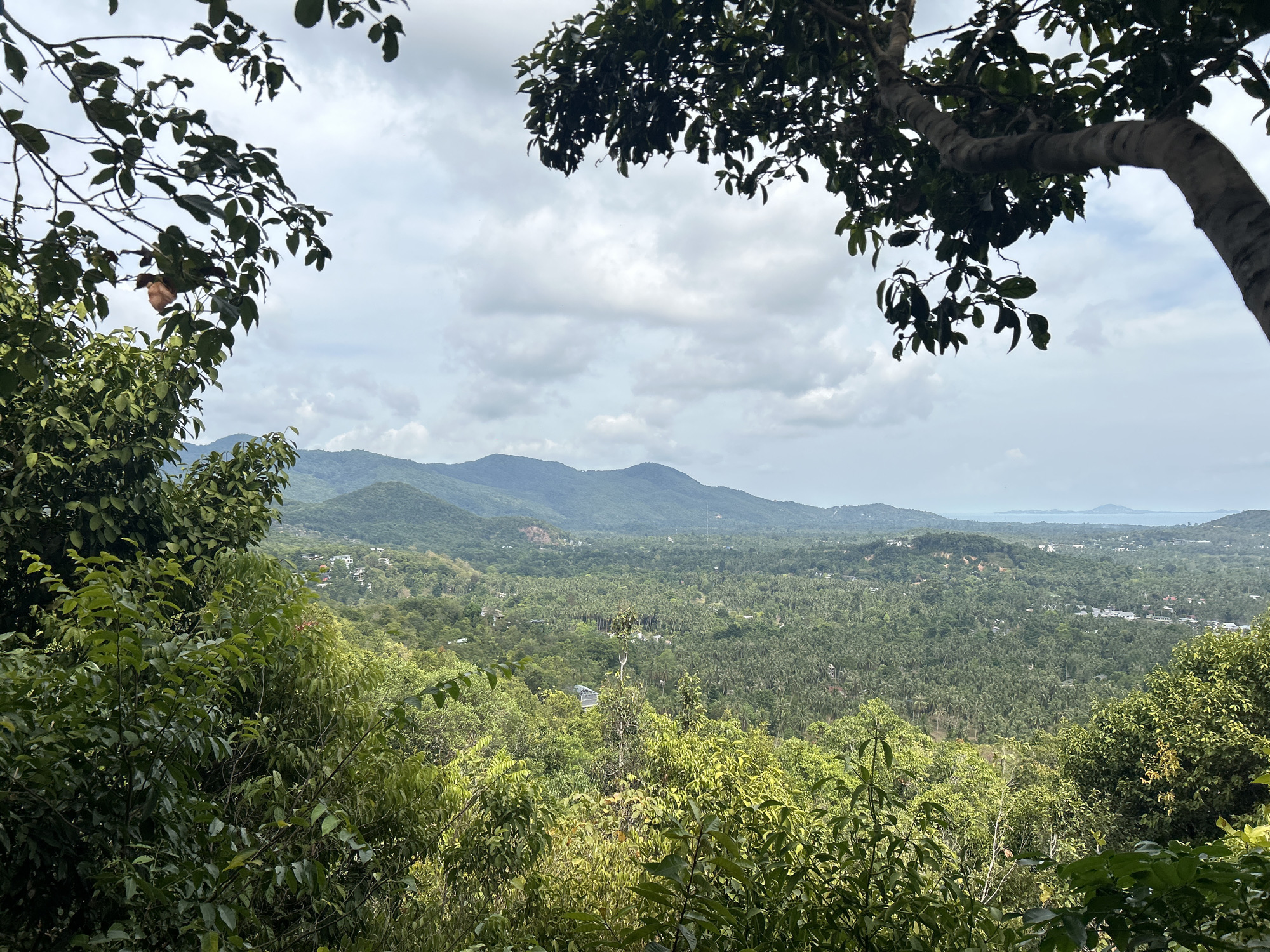 A landscape image shows a view from a high vantage point in Baan Hin Kong, Thailand, as indicated by the presence of lush greenery and mountain ranges. A dense forest stretches across the midground, with trees obscuring some of the landscape. The background reveals rolling hills and mountains under an overcast sky with white and grey clouds. A tree branch in the top right corner and another tree branch in the top left provide a natural frame for the view, adding depth to the scene.