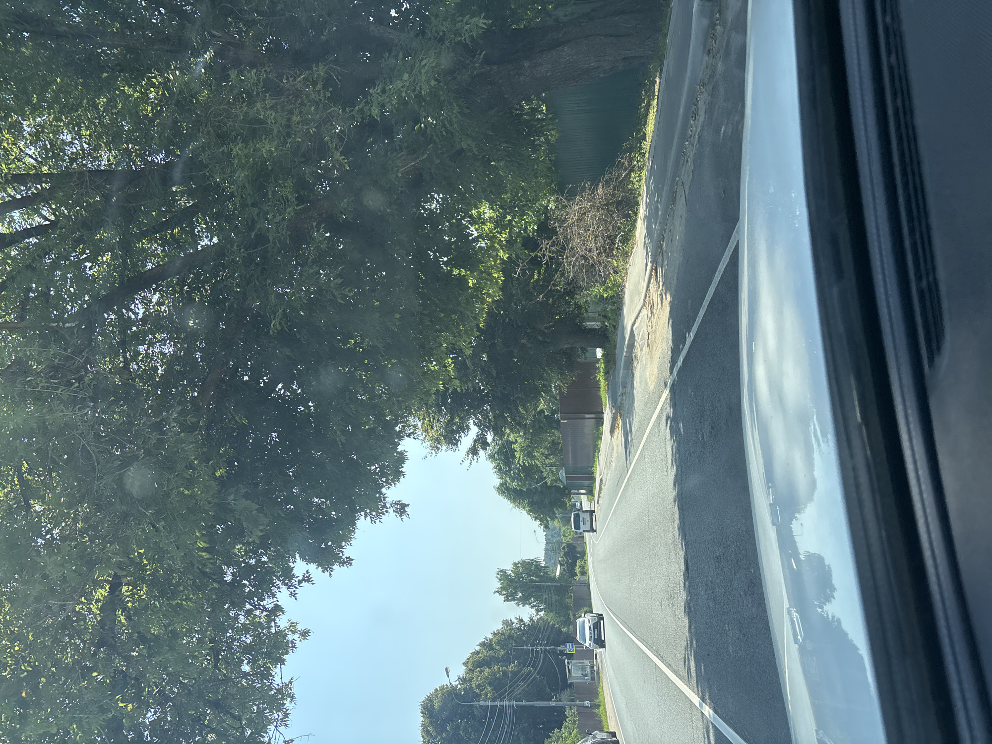 The image depicts a road scene in Zvenigorod, Russia, on a clear day. The perspective is from inside a vehicle, looking forward. A two-lane asphalt road stretches into the distance, bordered by a paved shoulder and grassy areas. Large, leafy trees dominate the right side of the frame, with their branches extending over the road, creating a canopy. On the left side, more trees line the road, interspersed with utility poles and a bus stop shelter. Two white vehicles are visible on the road: a sedan in the left lane and an SUV in the right lane. A dark green fence runs along the right side of the road. The sky is a bright blue. The foreground shows the reflective surface of the vehicle's dashboard and hood.