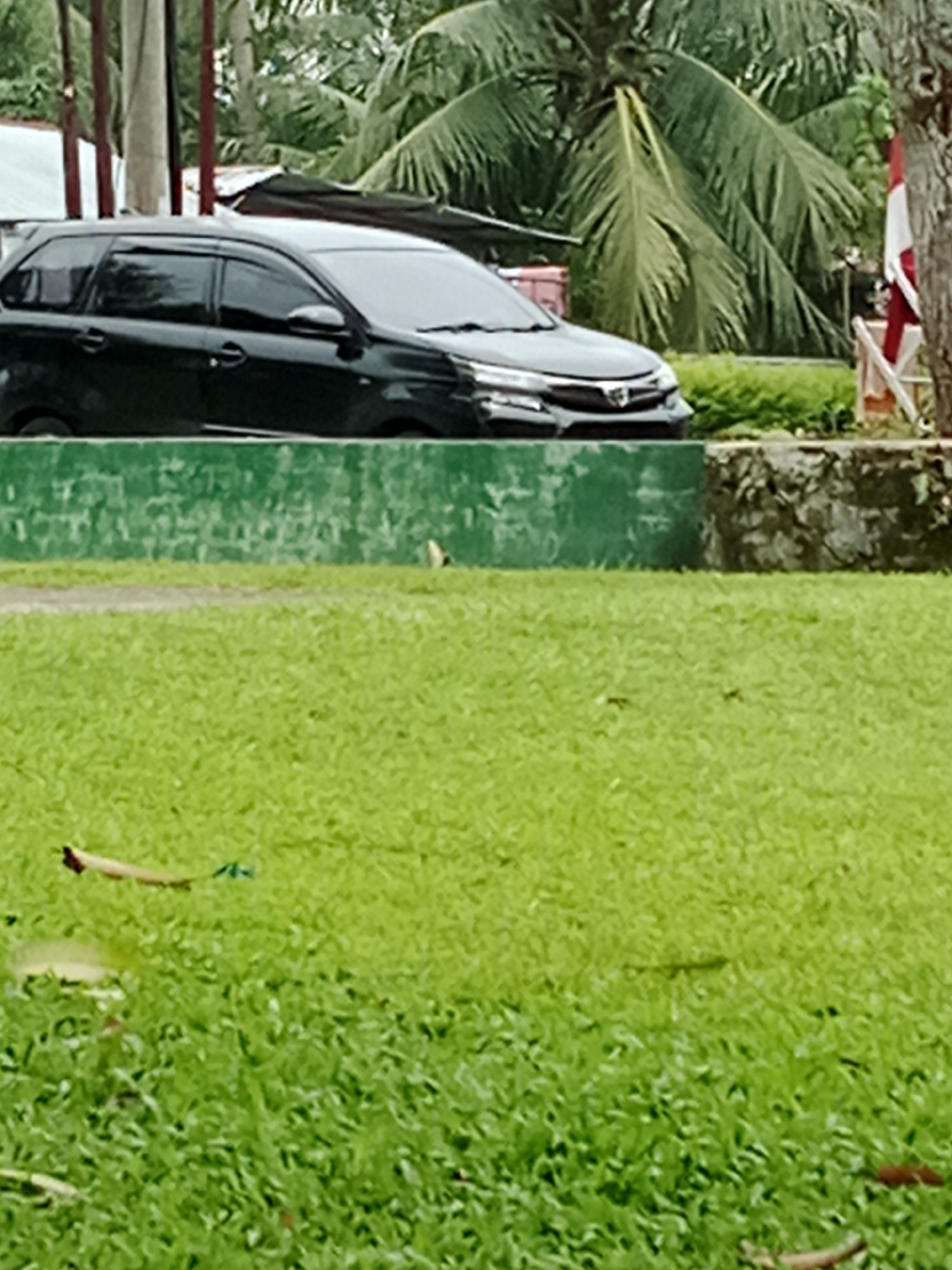 A black minivan is parked behind a low, green, textured concrete wall. Beyond the wall, a grassy area is visible with scattered leaves and debris. In the background, lush green palm trees tower over the scene, suggesting a tropical or subtropical environment. A flagpole with a red and white flag is partially visible on the right side of the image. The image appears to be taken outdoors in daylight, with the focus primarily on the vehicle and the surrounding natural elements. The context provided about the City of Binjai, Indonesia, indicates the geographical location of this scene.