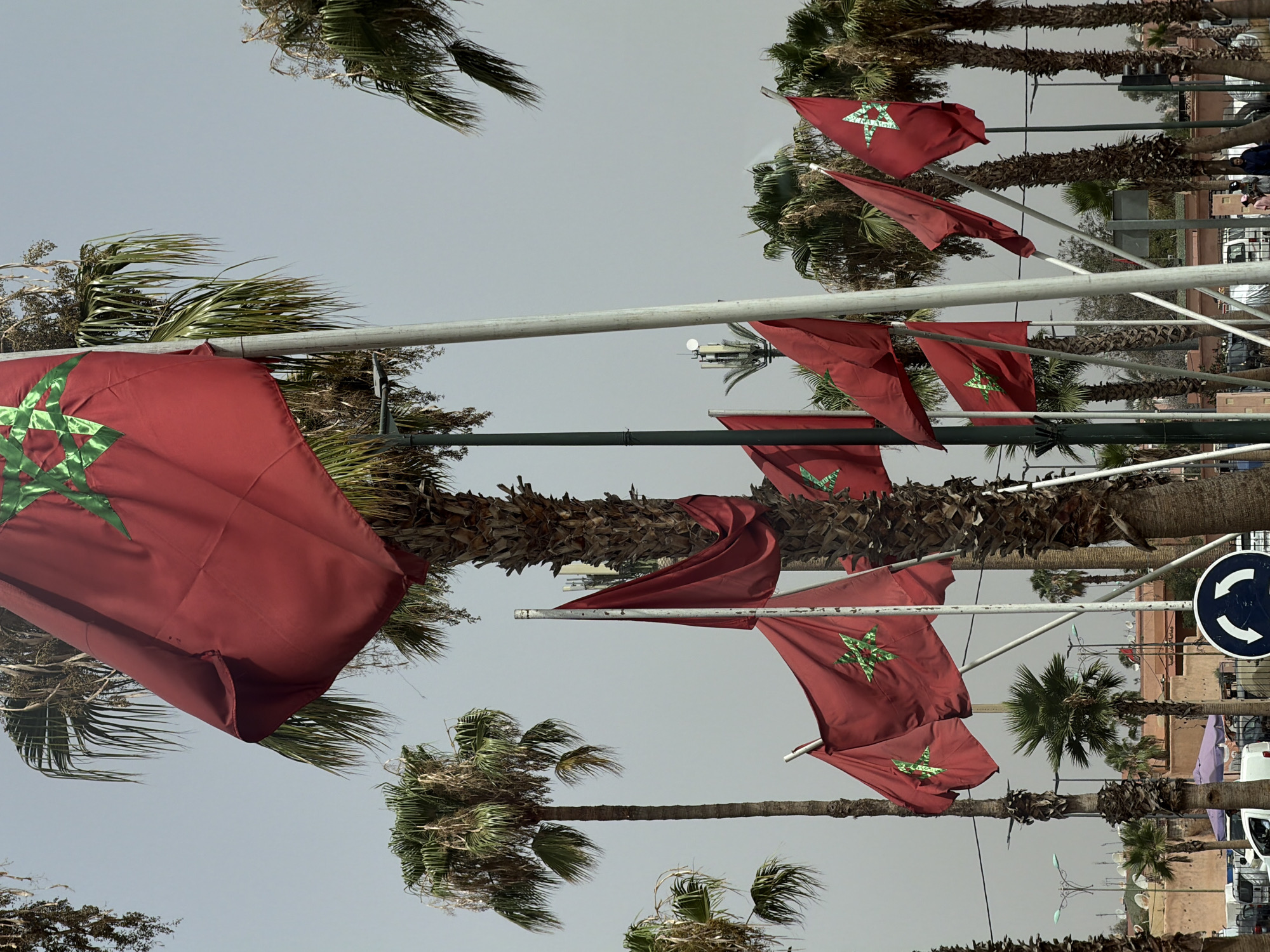 The image captures a street scene in Marrakesh, Morocco, with multiple Moroccan flags prominently displayed amidst a backdrop of palm trees and a hazy sky. The flags, red with a green pentagram, are a recurring motif, suggesting a location of national significance or a celebration. Several palm trees, varying in height and density of foliage, frame the flags and indicate a warm, possibly arid climate. In the background, low-rise buildings with a reddish hue, characteristic of Marrakesh architecture, are visible. Streetlights and utility poles suggest an urban environment. A traffic sign with white arrows on a blue circular background, indicating a roundabout, is present in the foreground, hinting at a public square or intersection. A few vehicles, including a white van, are parked along the street. The presence of a few individuals, blurred and indistinct, suggests casual pedestrian activity. The overall impression is of a bright, outdoor setting in Marrakesh, possibly on a national holiday or event, with the Moroccan flag as the central visual element.