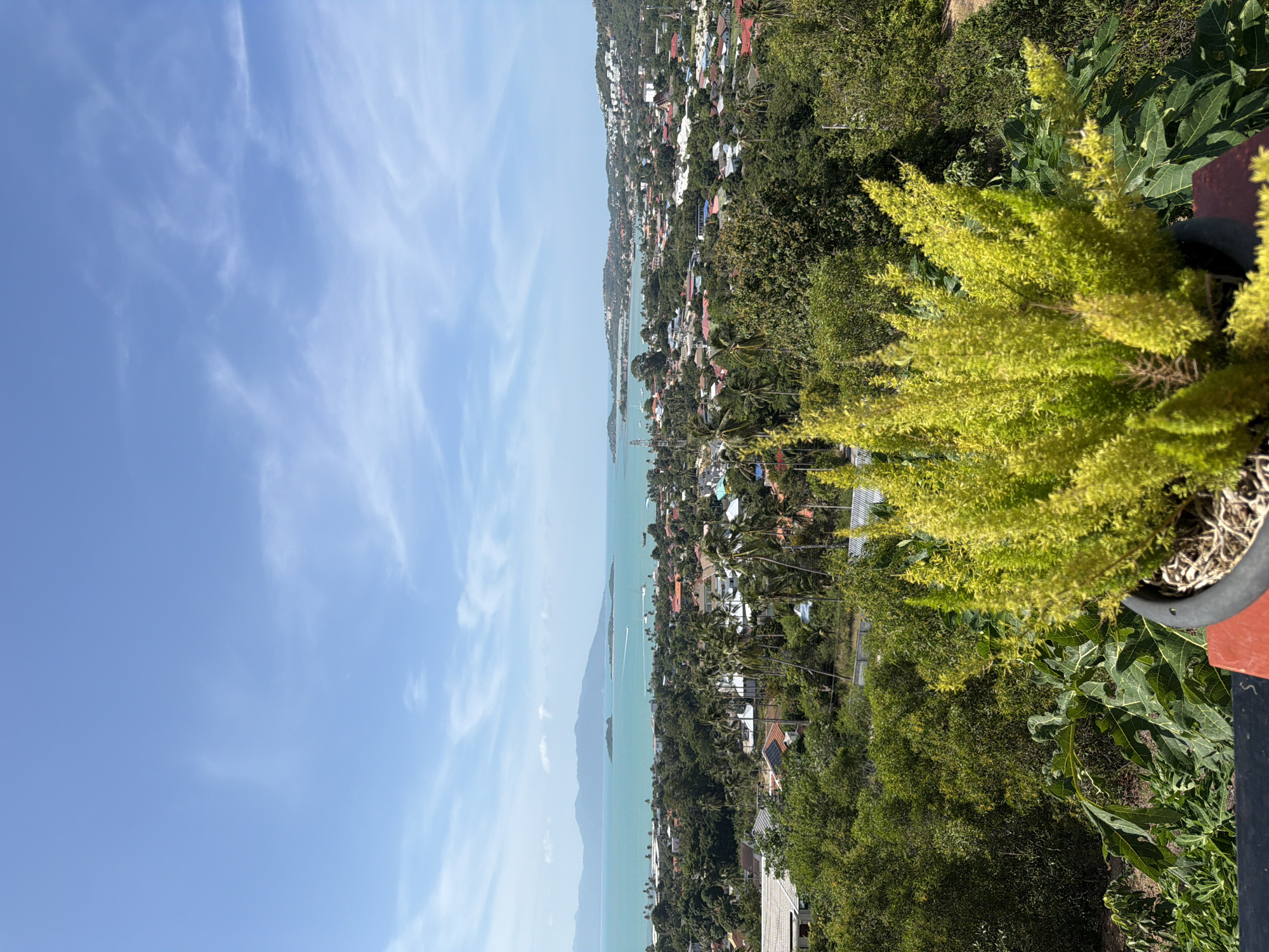 This is a high-angle, eye-level shot of a tropical landscape on the island of Ko Samui, Thailand. In the foreground, a bright yellow-green plant in a black pot is situated on a ledge. Behind the plant, lush green trees and foliage dominate the midground. A sprawling town with red-tiled roofs and scattered palm trees is visible beyond the trees, leading to a tranquil turquoise bay. In the distance, several islands and the mountainous outline of the mainland can be seen under a clear blue sky with scattered white clouds. The scene depicts a residential area nestled within a verdant tropical environment, overlooking the sea.