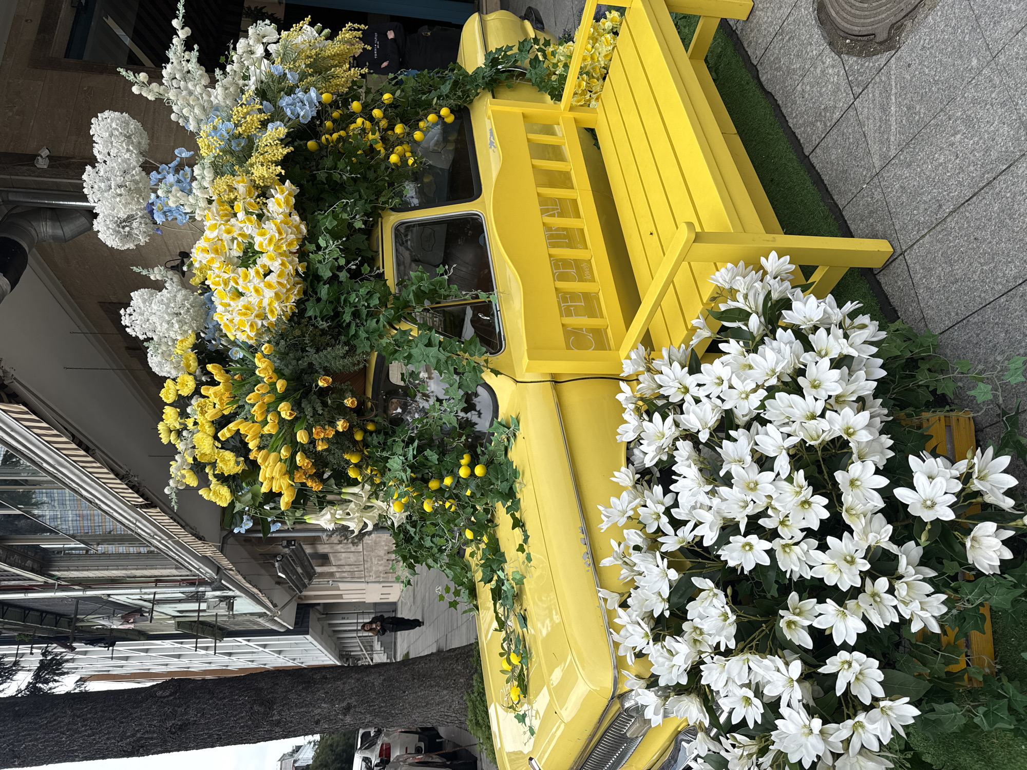 The image shows a yellow, vintage truck decorated with various types of flowers and greenery, parked on a sidewalk in Batumi, Georgia. The truck is a display piece, possibly for "Cafe Central," as indicated by lettering on the side. A yellow bench is attached to the back of the truck. The flowers include white, yellow, and blue varieties, along with lemons arranged amongst the greenery. The sidewalk is paved with gray stones, and a patch of artificial turf is visible beneath the bench. A tree trunk is in the foreground. A person is walking in the background. Other buildings and a parked car are faintly visible in the distance.