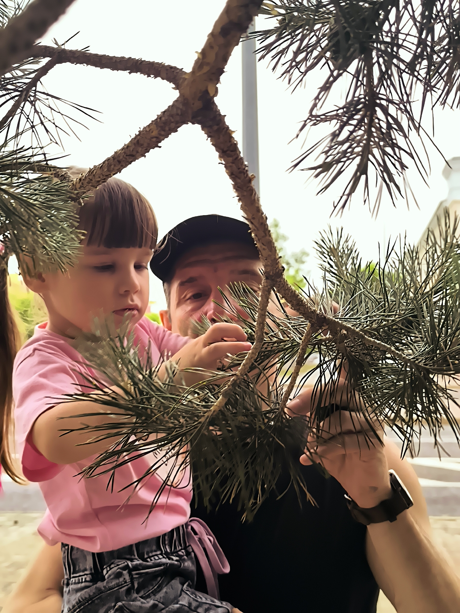 In the city of Qarağandı city administration, Kazakhstan, a father and his young daughter are framed by the branches of a pine tree. The daughter, wearing a pink t-shirt and denim shorts, is held in her father's arms. She is focused on examining the pine needles, her gaze directed downwards. The father, dressed in a black t-shirt and a dark cap, mirrors her interest, his hands reaching towards the branches. The background is indistinct, suggesting an outdoor setting, possibly a park or garden, with the bright sky visible through the foliage. The interaction between father and daughter suggests a shared moment of observation and exploration of nature.