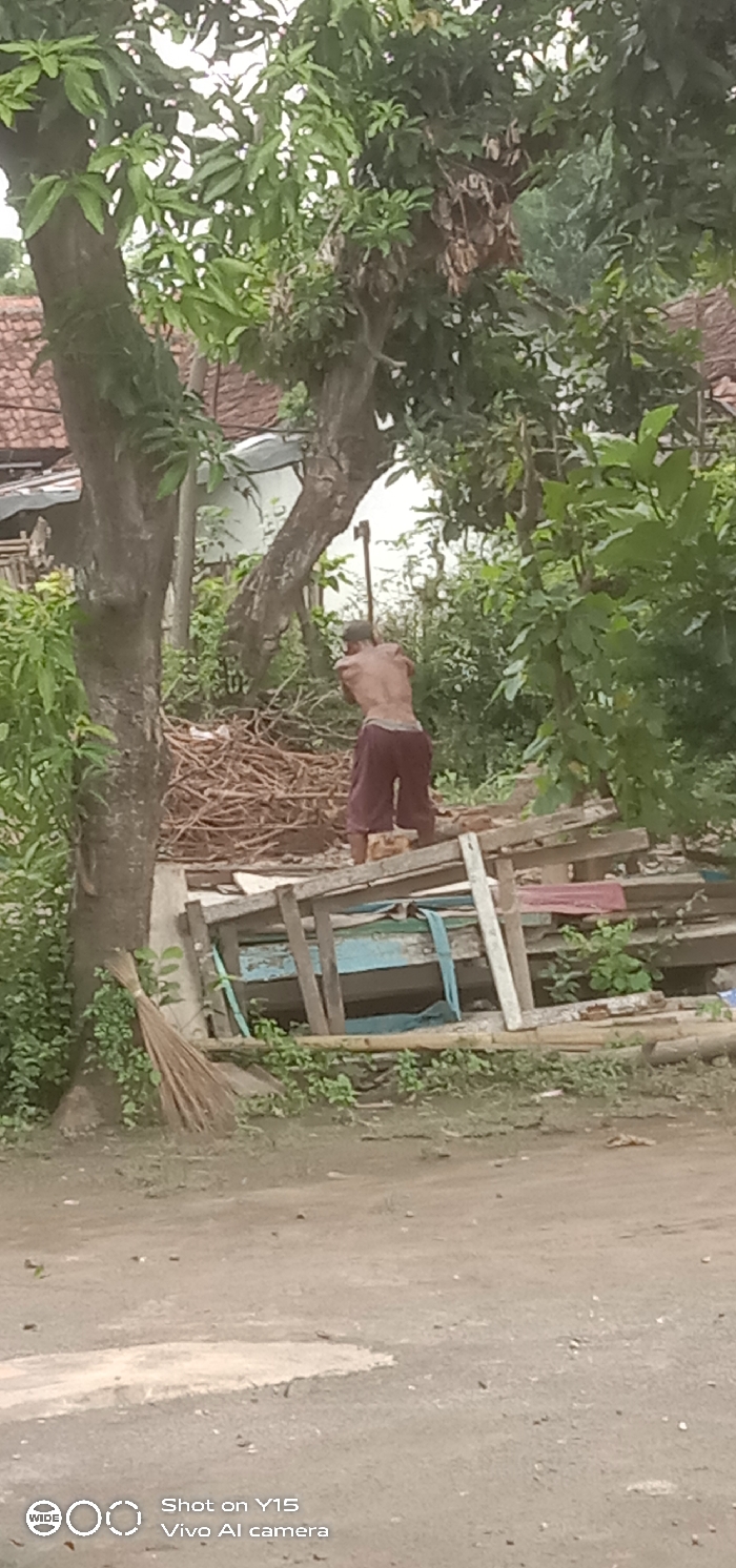 The image depicts an outdoor scene in Brumbungan Kidul, Indonesia, featuring an adult male engaged in wood chopping. The individual is bare-chested, wearing dark reddish-brown loose pants, and is observed from behind, holding an axe raised over his right shoulder, poised to strike. He stands on or adjacent to scattered wooden planks and debris. Directly behind him is a large, irregularly shaped pile of dry branches and cut wood. To the man's right (viewer's left), a dilapidated wooden frame structure, with a section of blue fabric or strap visible, rests on the ground amid sparse vegetation. The scene is heavily vegetated, with two prominent large trees featuring green foliage dominating the left side of the frame. In the background, partially obscured by foliage, are the reddish-brown tiled roof of a building and a light-colored wall. The foreground consists of compacted dirt and sparse green ground cover. A natural fiber broom leans against the trunk of the nearest large tree on the left.