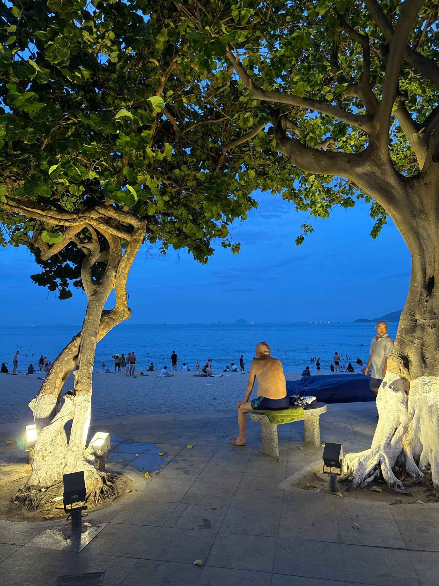 This image depicts a twilight scene on a beach in Nha Trang, Vietnam. In the foreground, two large trees with illuminated white trunks frame the view. The tree on the left has a dramatically twisted trunk. On the paved walkway beneath the trees, a man is seated on a stone bench covered with a green towel. He is facing away from the camera, shirtless and wearing patterned swim trunks. To his right, another man stands facing the camera, wearing a light-colored collared shirt and dark shorts. The background reveals a sandy beach populated with numerous beachgoers. People are scattered across the sand, some walking, some sitting, and some wading in the ocean. The sea is calm, with faint lights visible on the horizon, suggesting the presence of boats or the city beyond. The sky is a deep blue, indicative of the evening hour. Several outdoor spotlights are visible on the walkway, illuminating the trees and the ground.